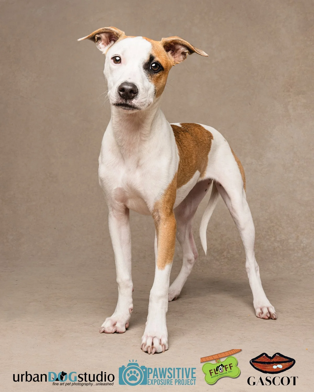 Urban_Dog_Studio-_LME8903-Edit copy.jpg