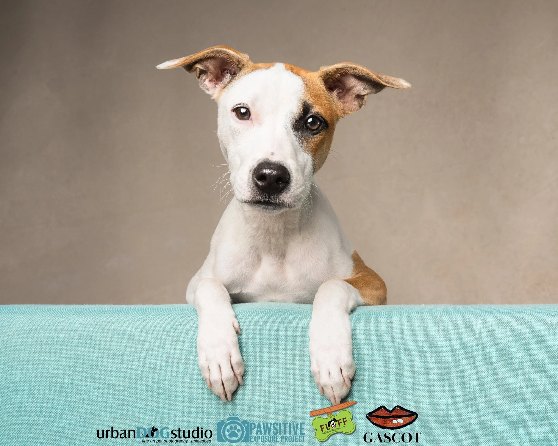 Urban_Dog_Studio-_LME8924-Edit copy.jpg