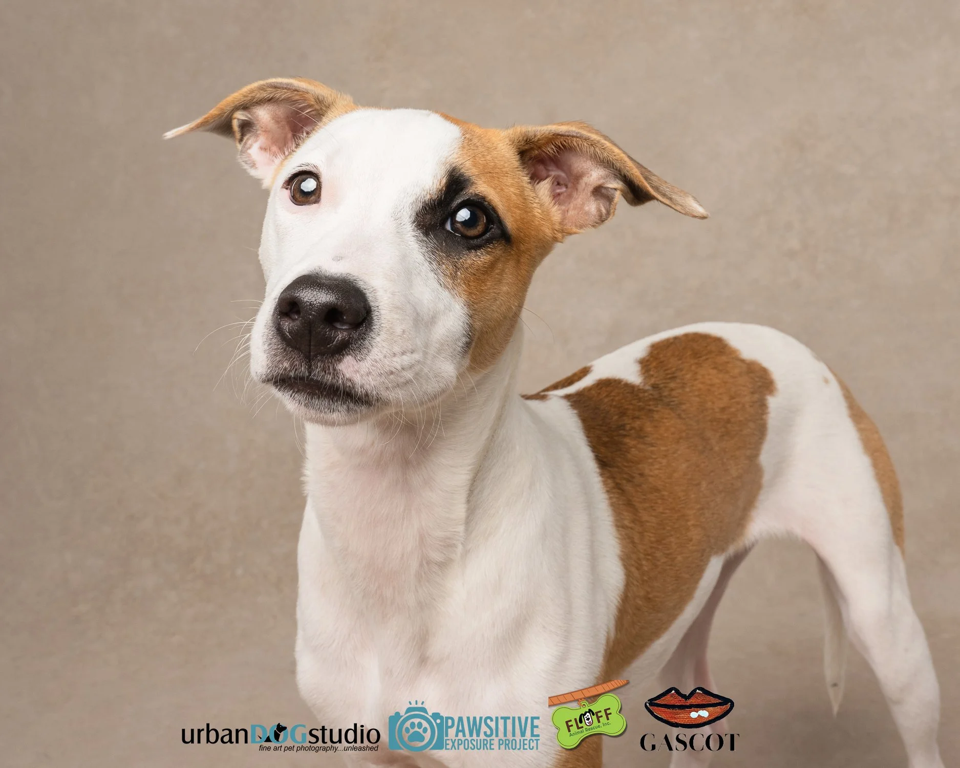 Urban_Dog_Studio-_LME9055-Edit copy.jpg