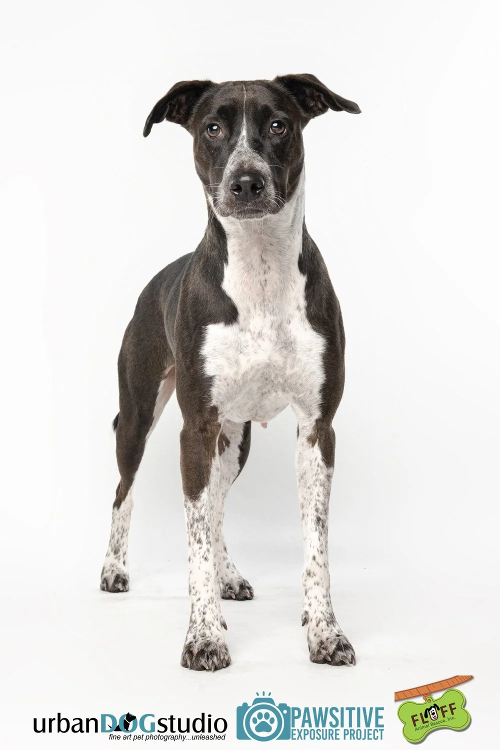 Urban_Dog_Studio-_LME9164-Edit copy.jpg