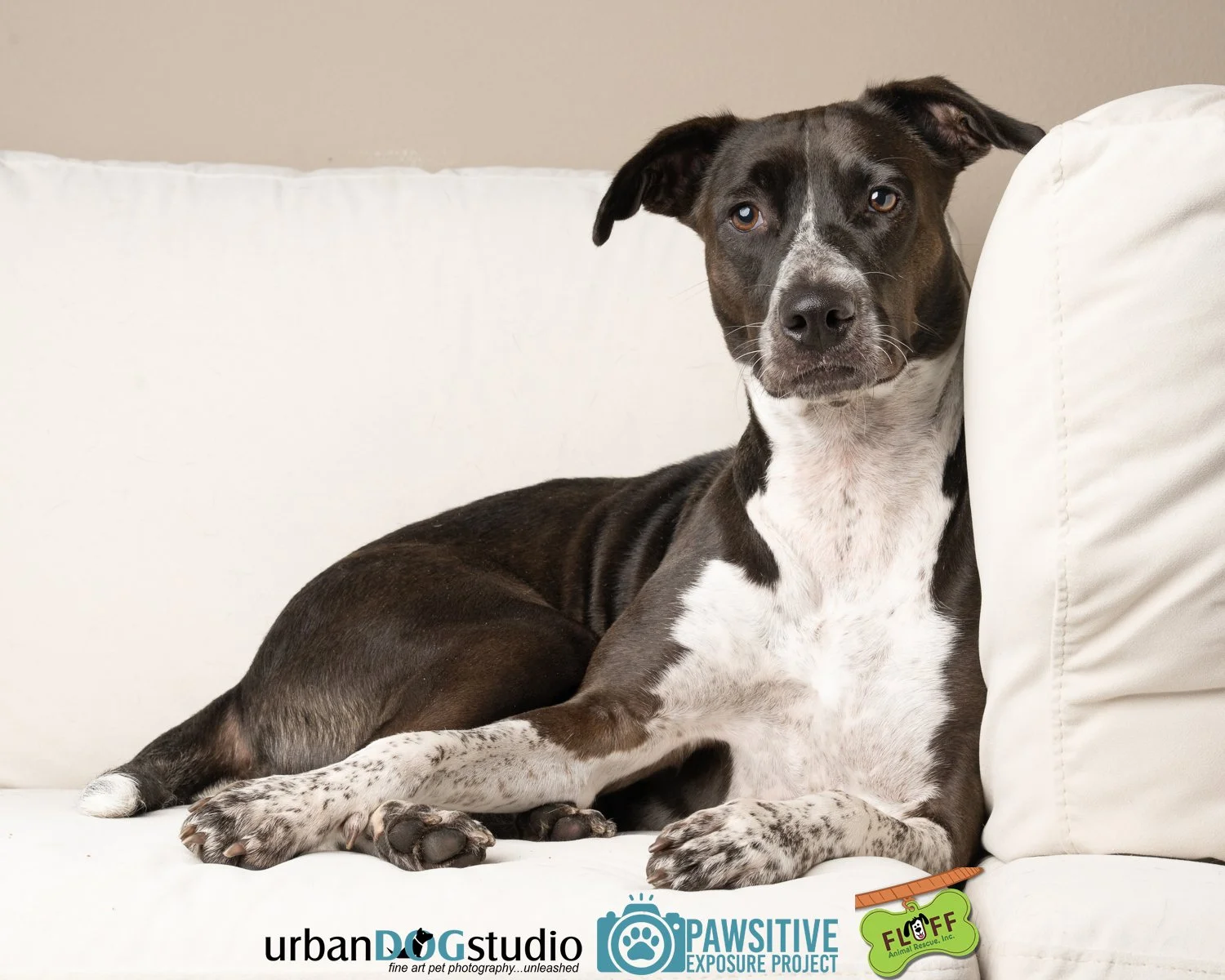 Urban_Dog_Studio-_LME9185-Edit copy.jpg