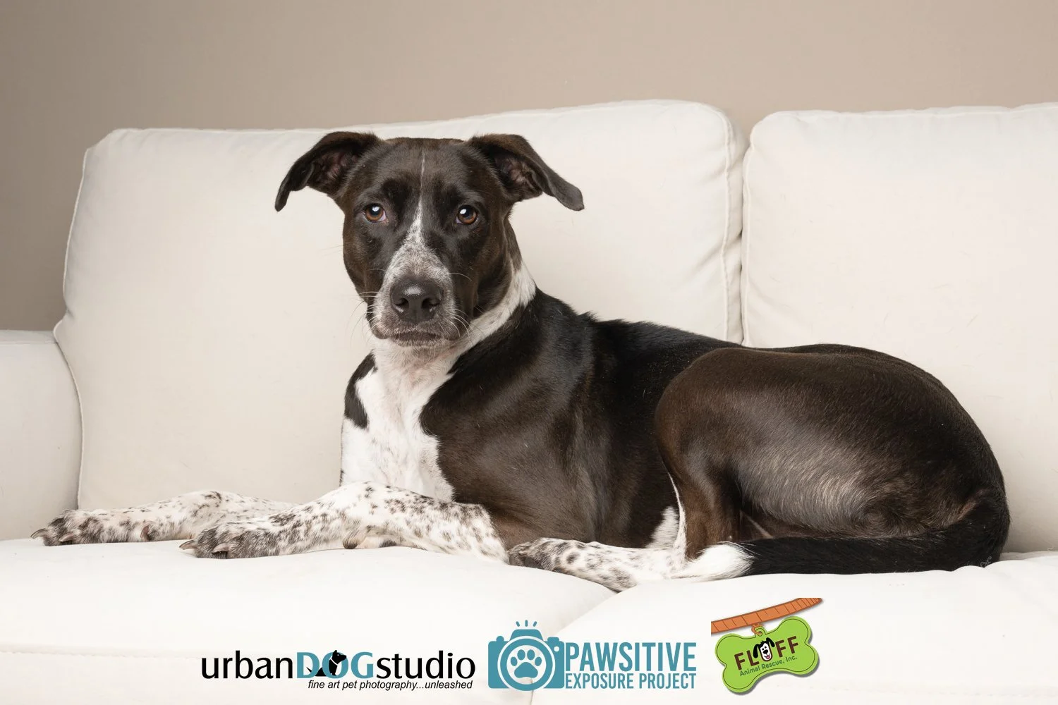 Urban_Dog_Studio-_LME9187-Edit copy.jpg