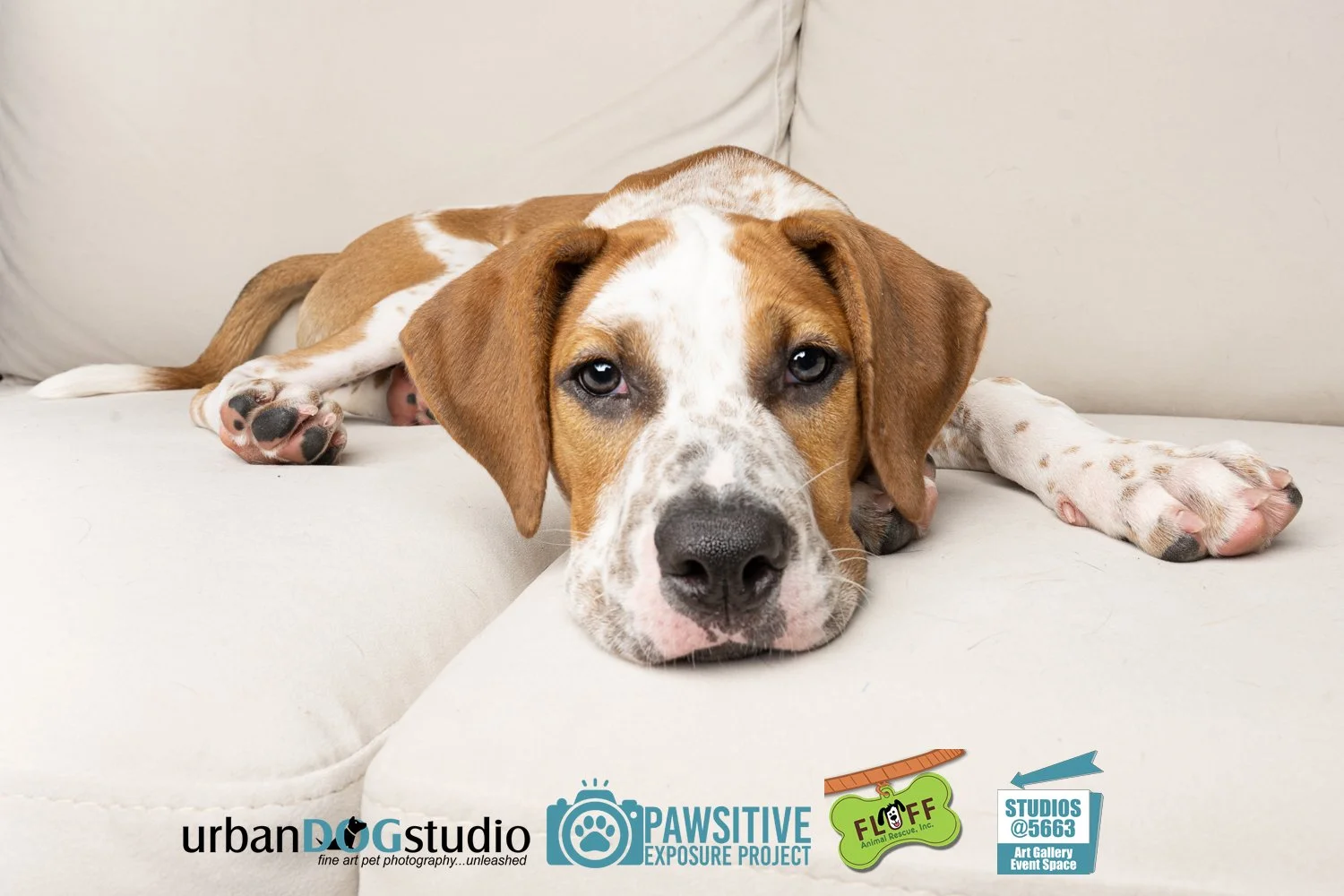 Urban_Dog_Studio-_LME9147-Edit copy.jpg