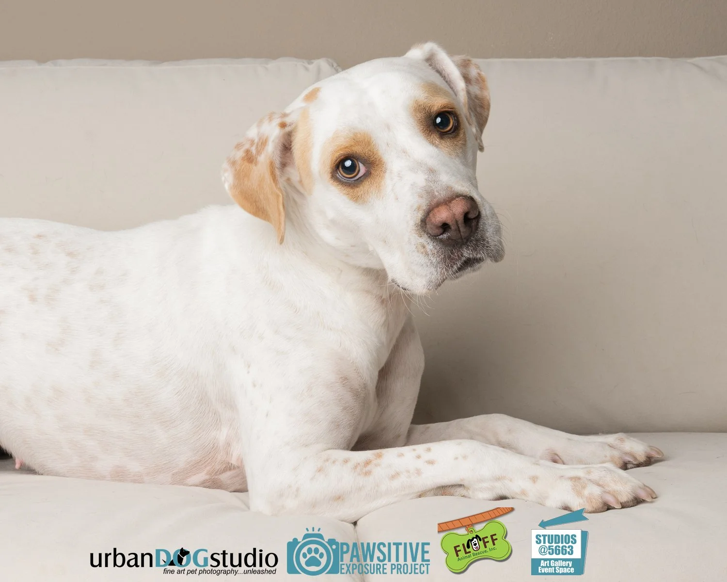 Urban_Dog_Studio-_LME9369-Edit copy.jpg