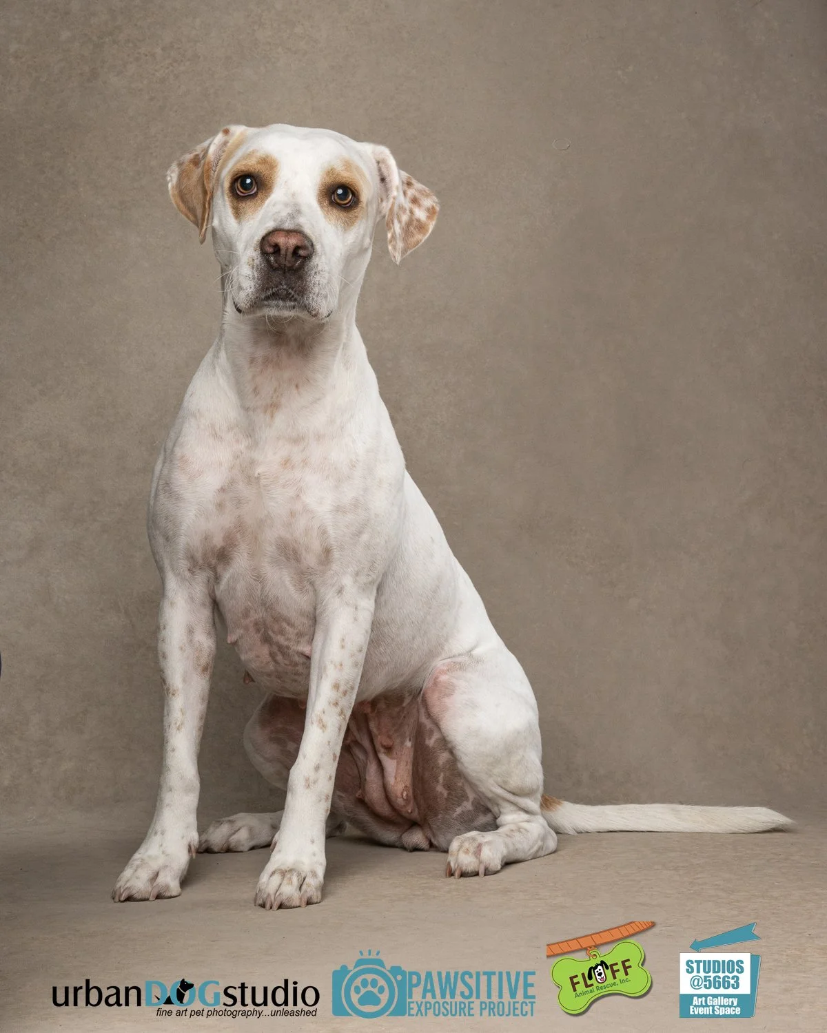 Urban_Dog_Studio-_LME9397-Edit copy.jpg