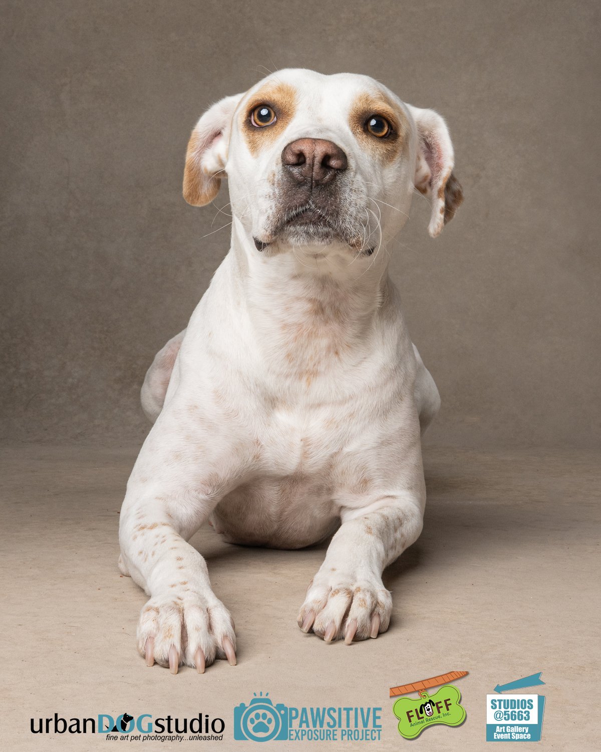 Urban_Dog_Studio-_LME9410-Edit copy.jpg