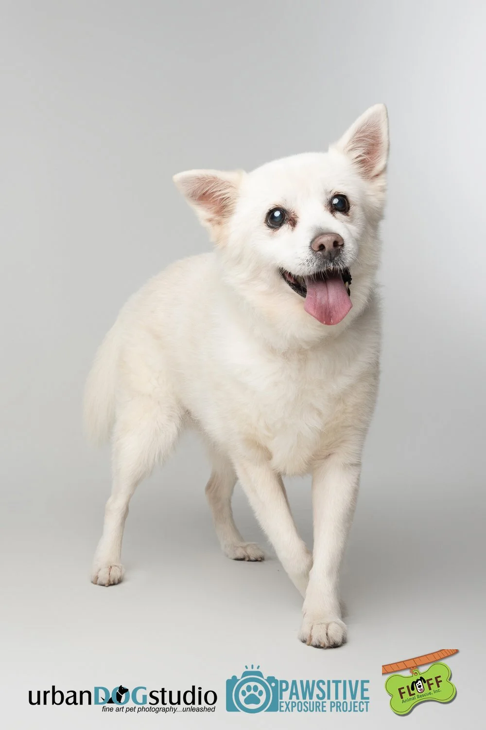 Urban_Dog_Studio-_LME9214-Edit copy.jpg