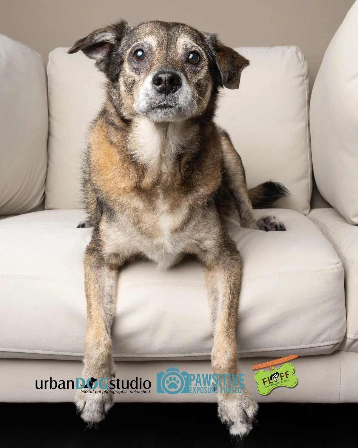 Urban_Dog_Studio-_LME9261-Edit copy.jpg
