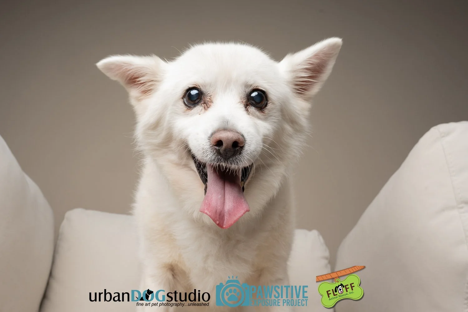 Urban_Dog_Studio-_LME9275-Edit copy.jpg