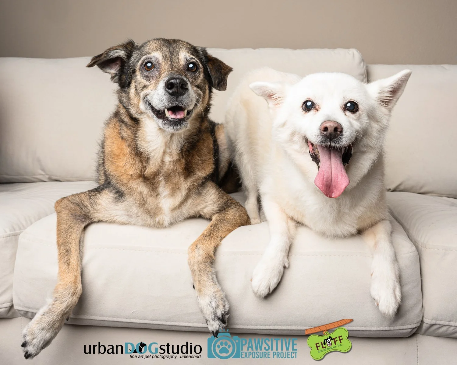 Urban_Dog_Studio-_LME9316-Edit copy.jpg