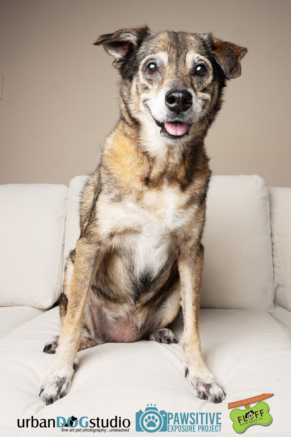Urban_Dog_Studio-_LME9335-Edit copy.jpg