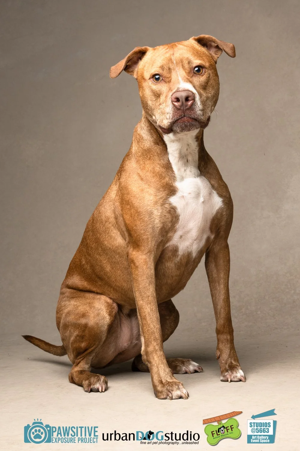 Urban_Dog_Studio-_LME9650-Edit copy.jpg
