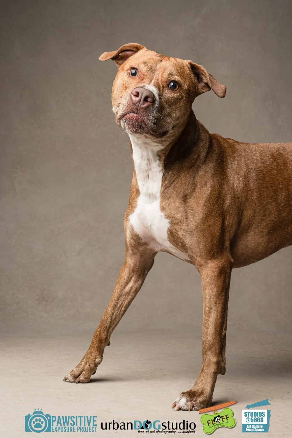 Urban_Dog_Studio-_LME9654-Edit copy.jpg