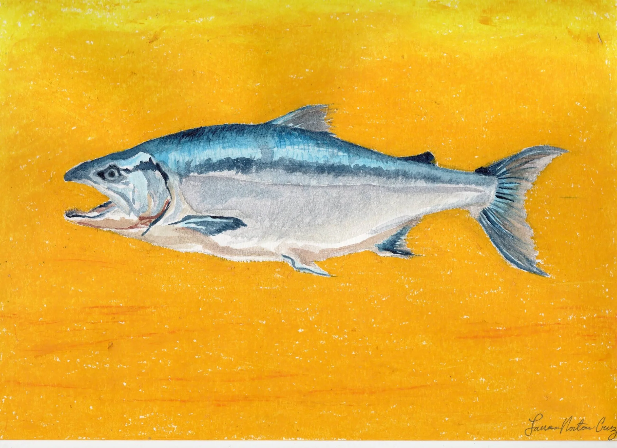 SalmonPaintg.jpeg