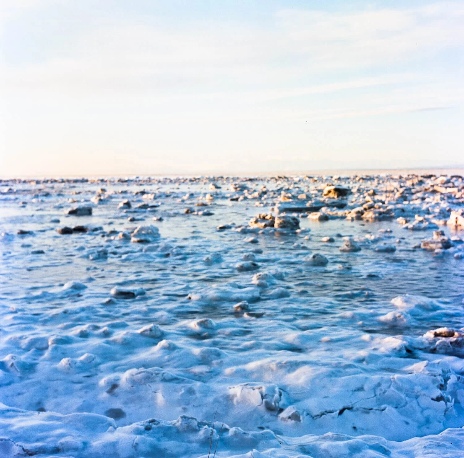 landscapes_mudflats_frozen.jpg
