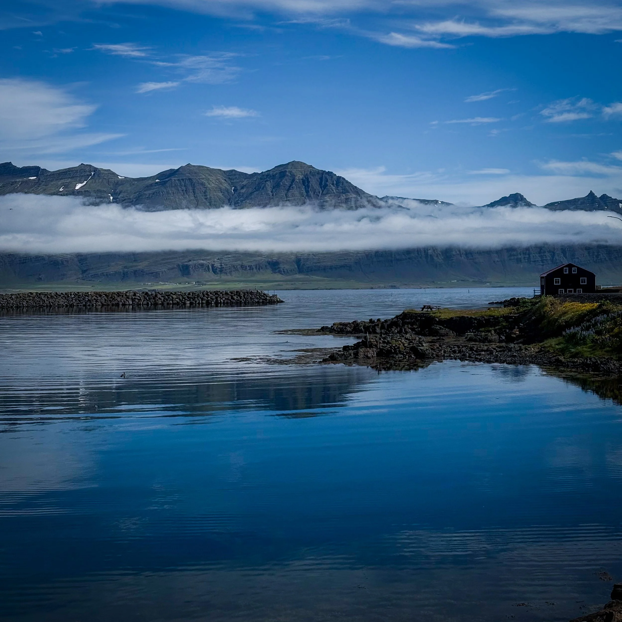 The harbor at Djupivogur In Iceland's east fjords.