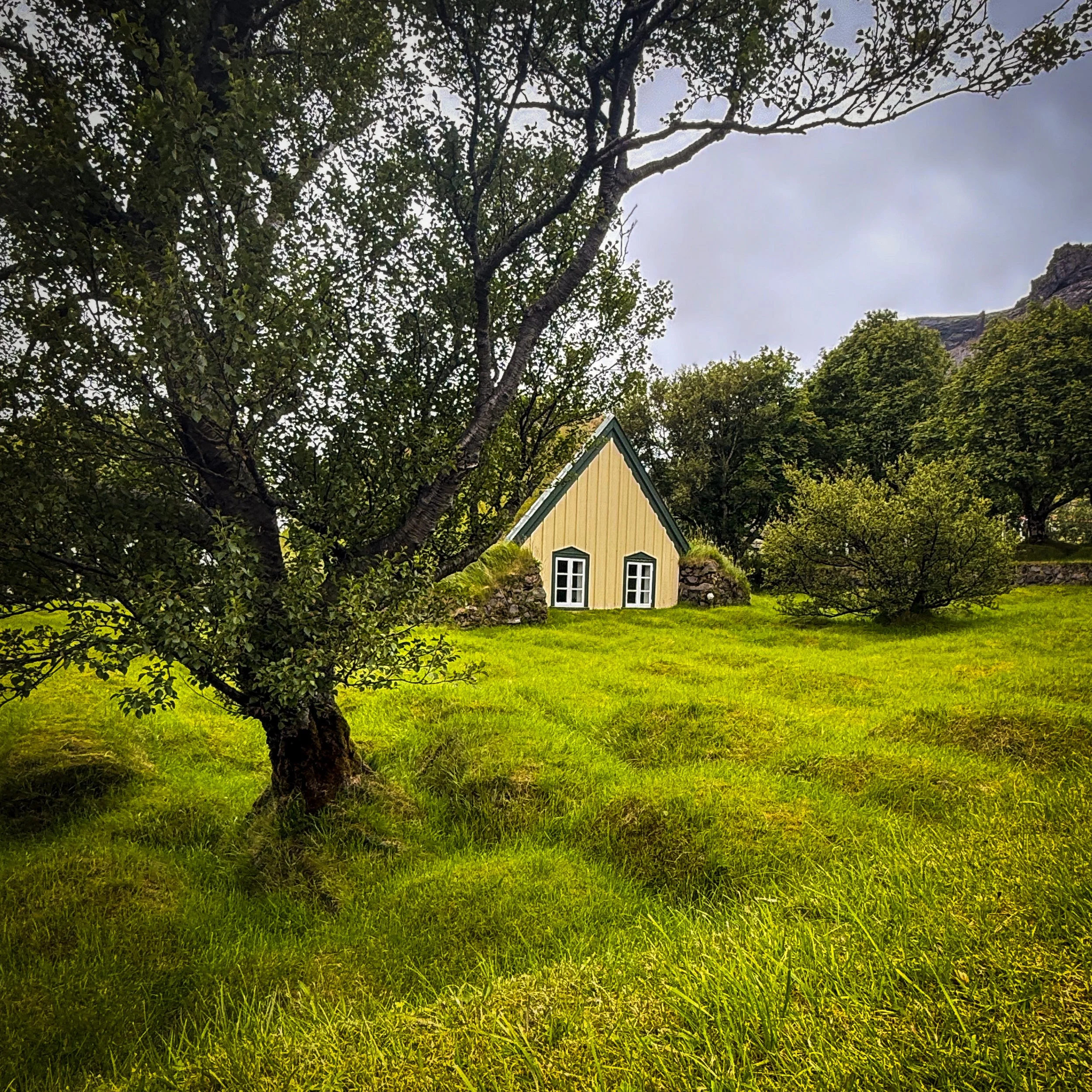 Historic grass-roof church in Iceland.
