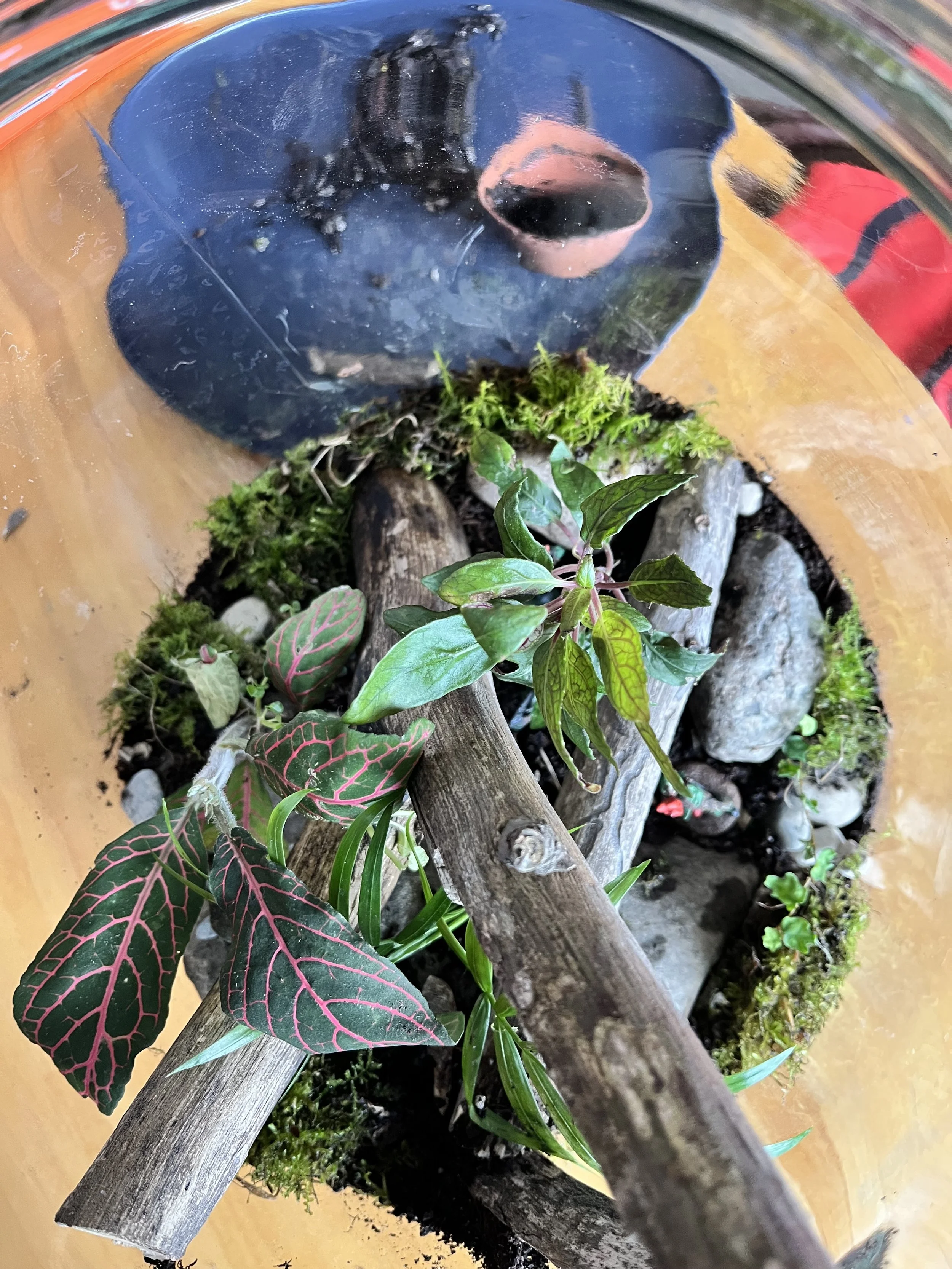 IMG_2280.jpeg (Copy)