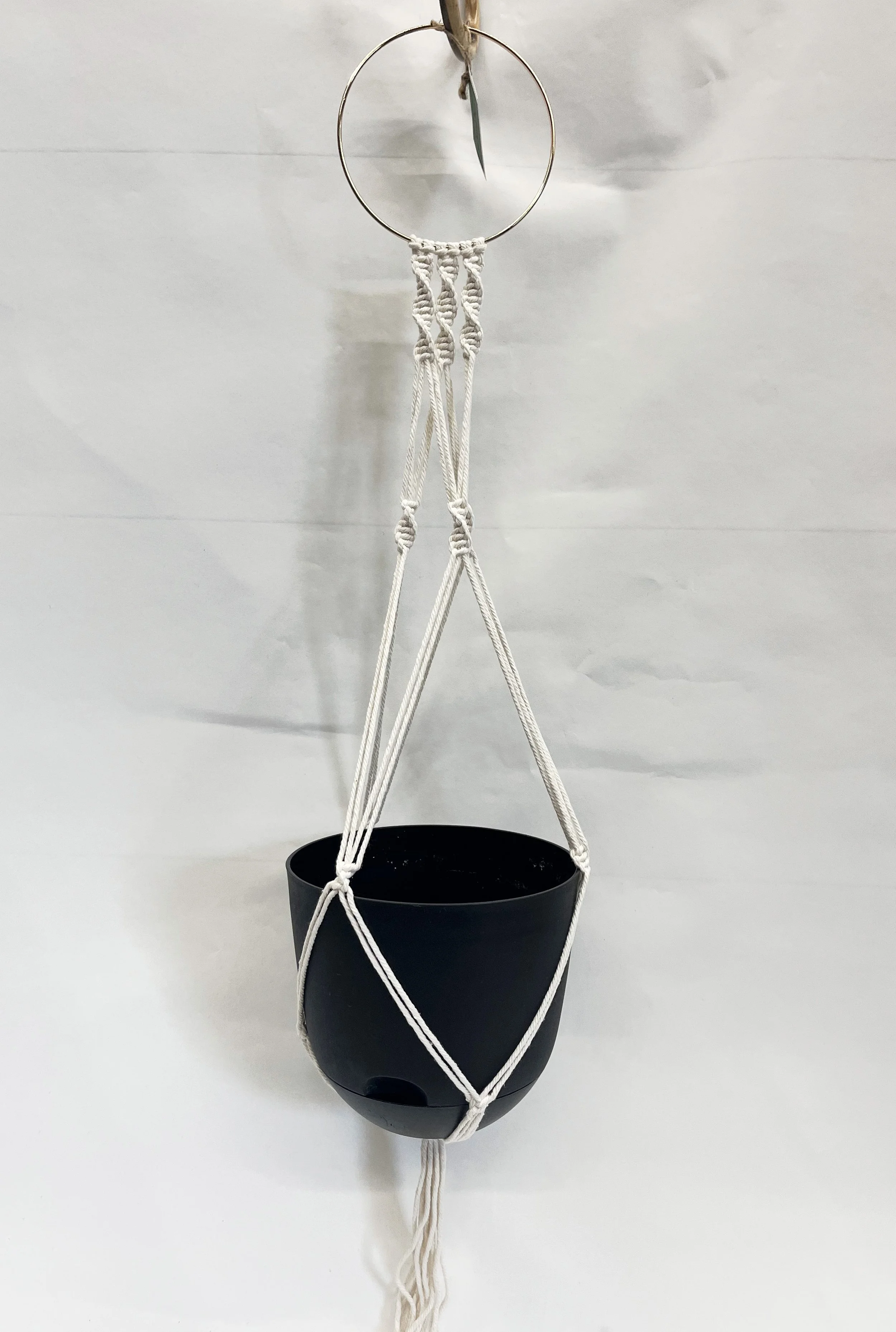 hoopsample.jpg