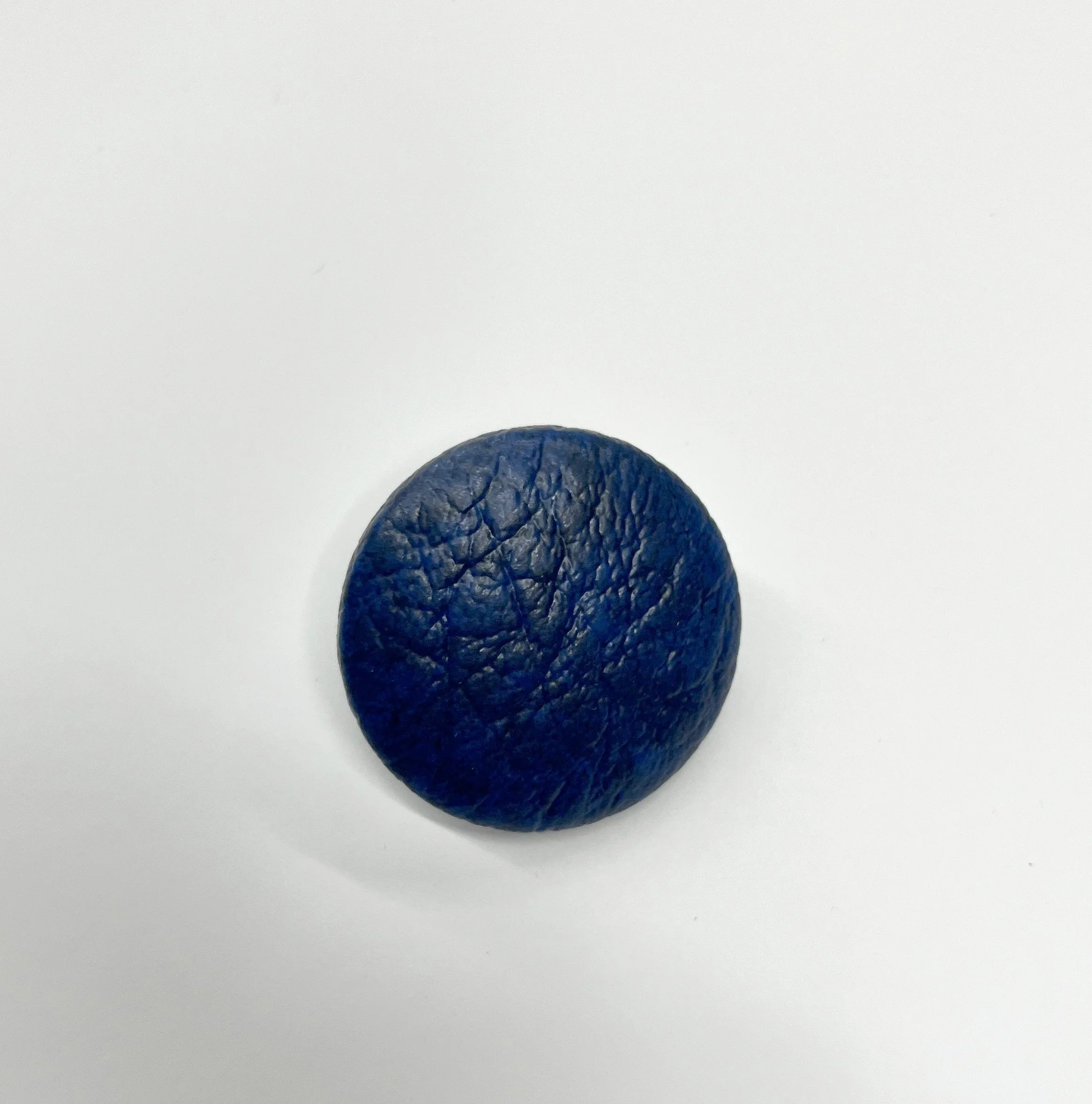 bluebutton_edit.jpg
