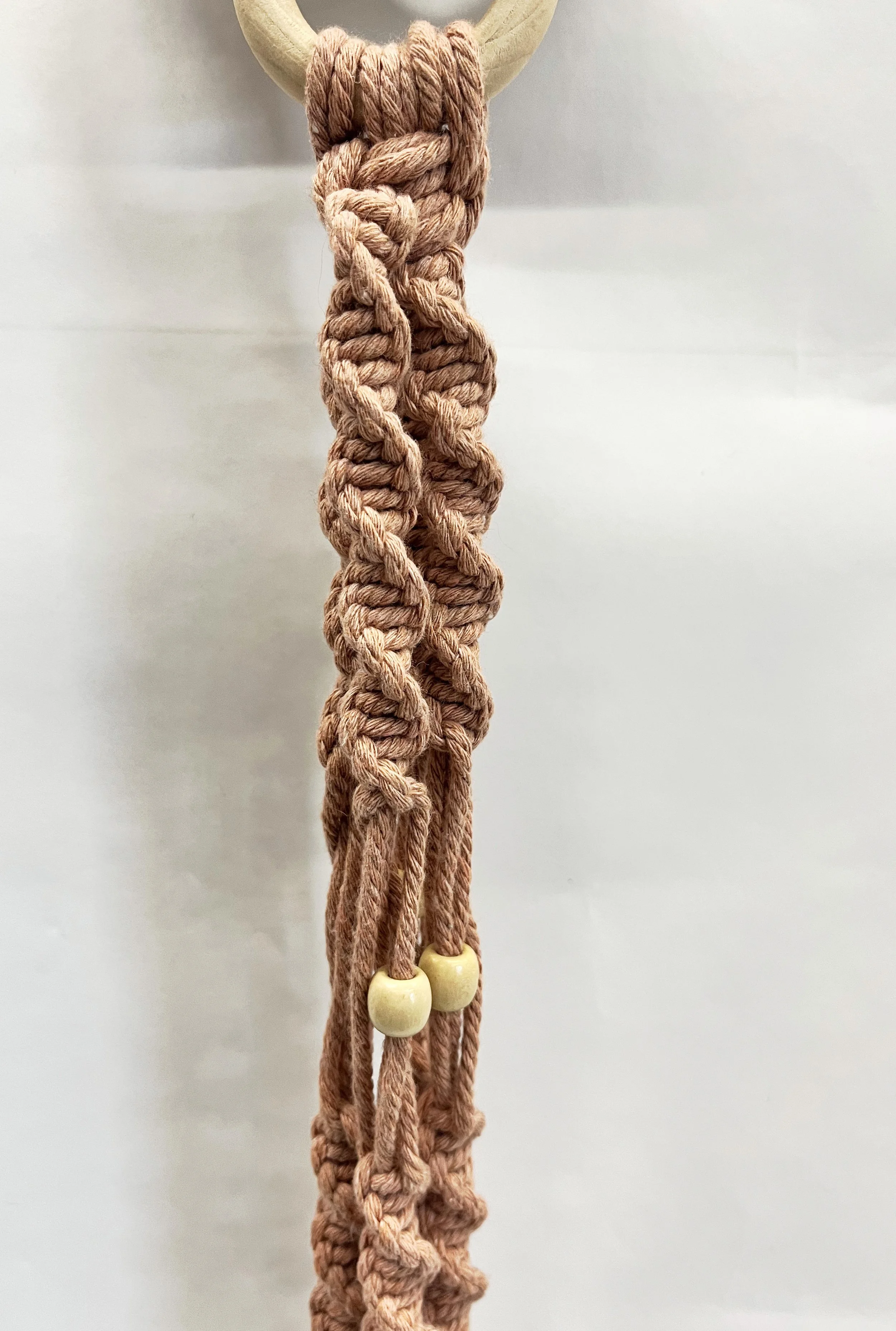 beadedcoral.jpg