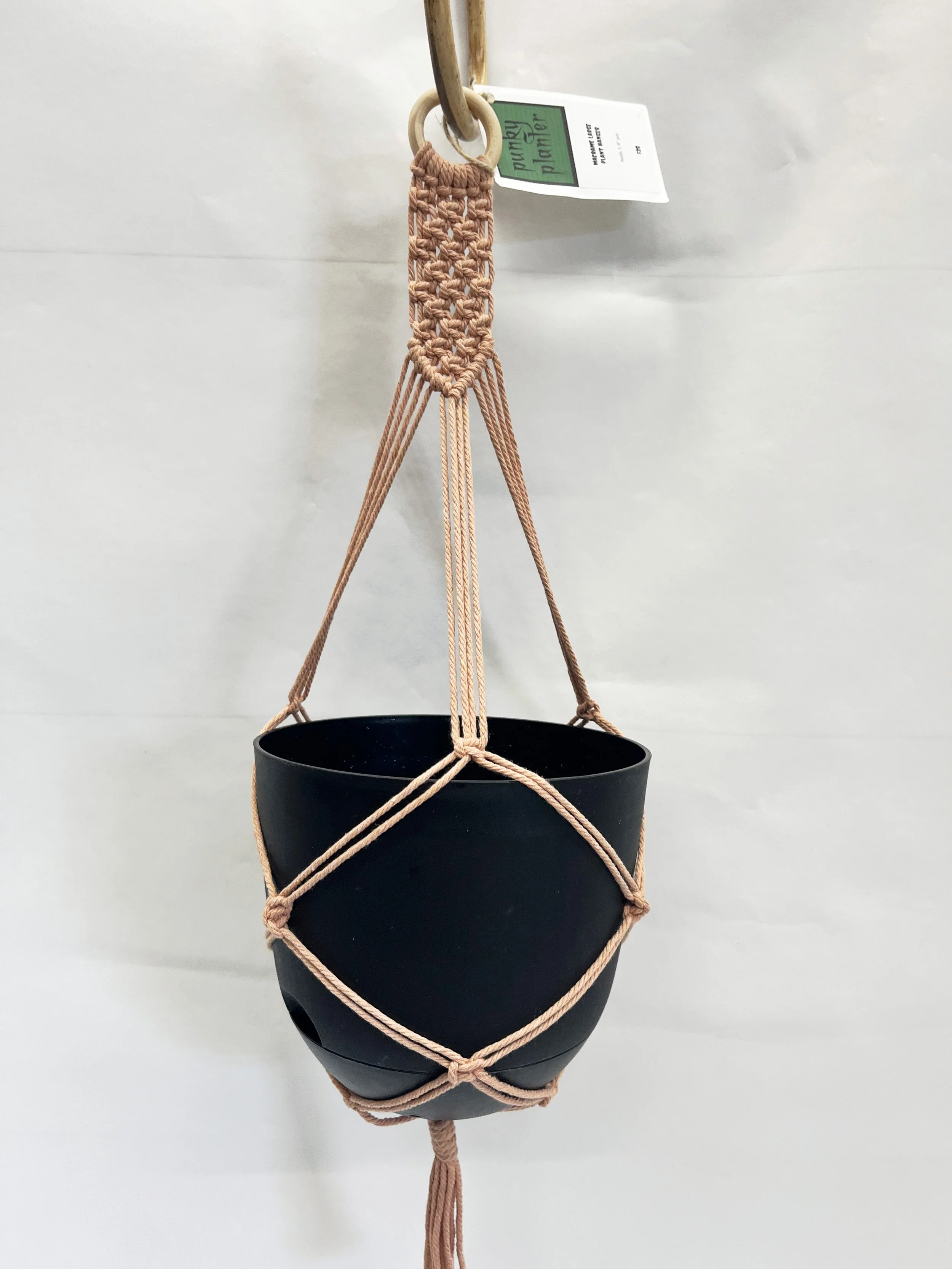 bigpotsample2.jpg