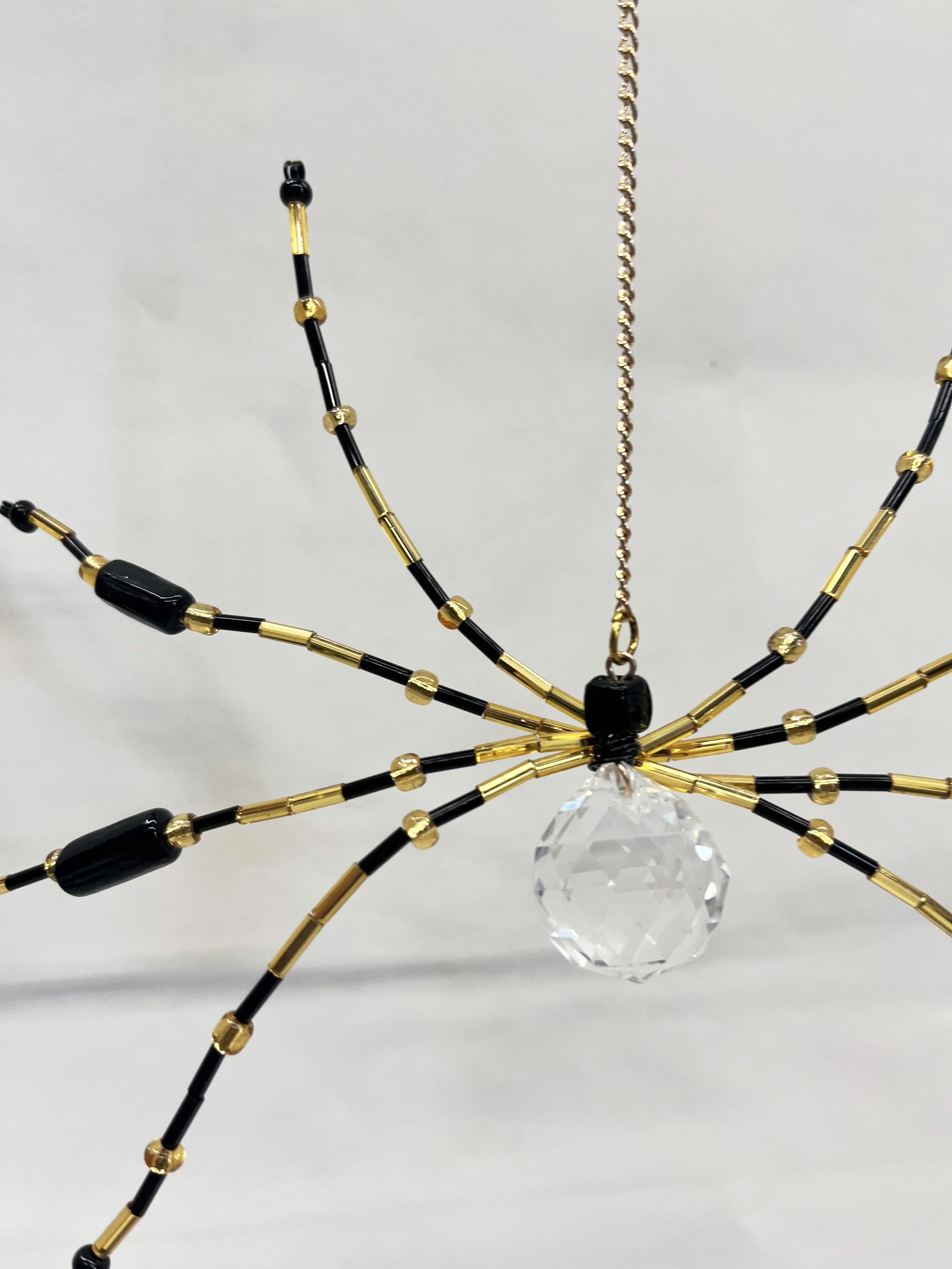 closeupblackgoldspider.jpg
