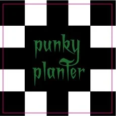 punky planter