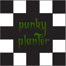 punky planter