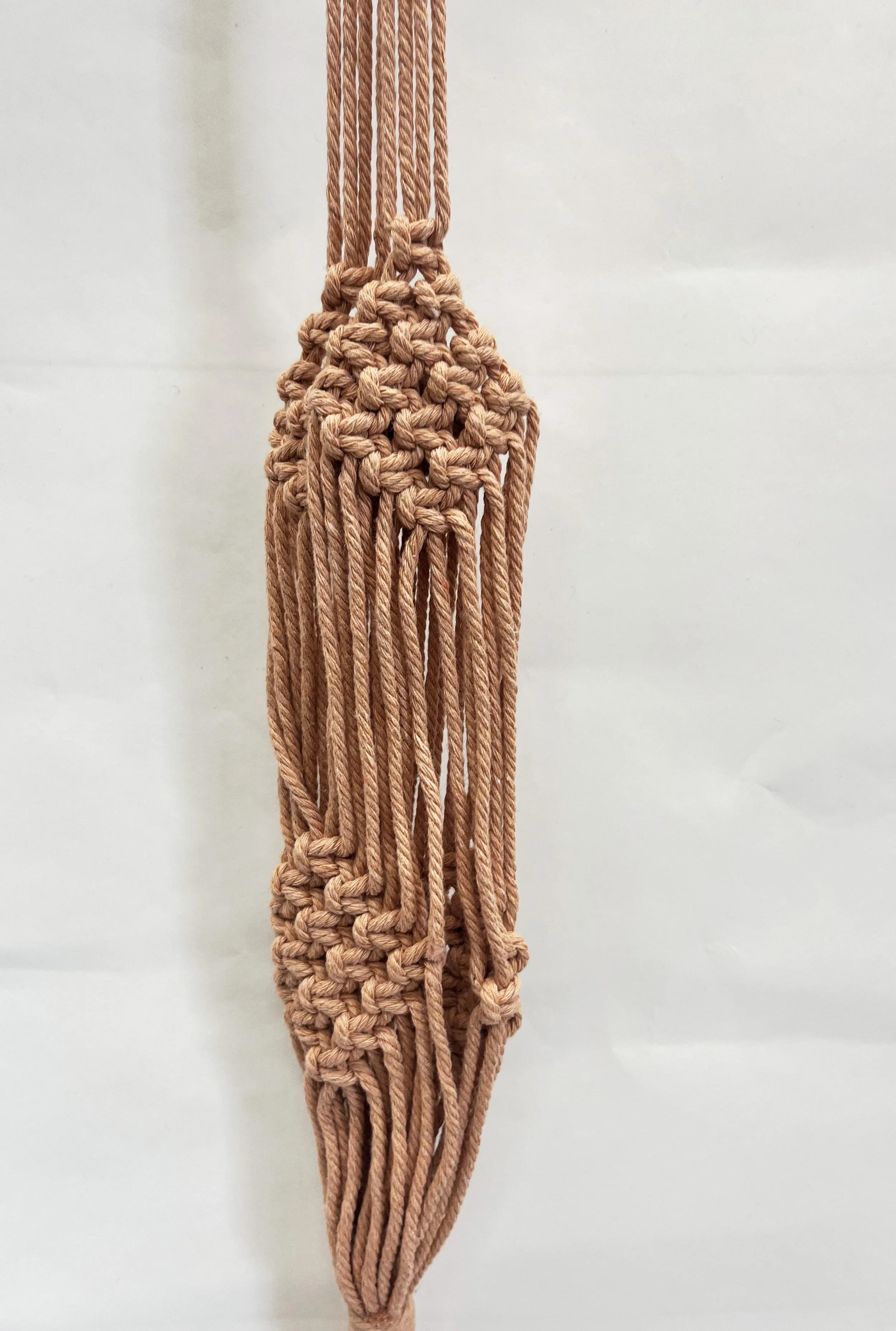 diamondcoral.jpg