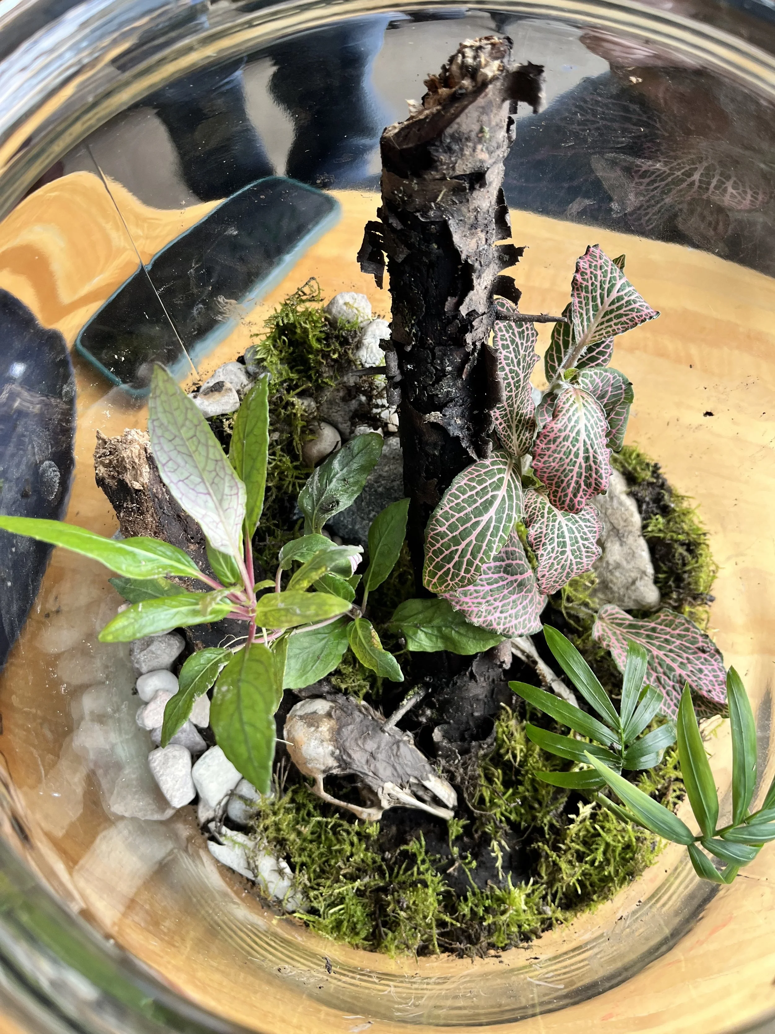 IMG_2279.jpeg (Copy)