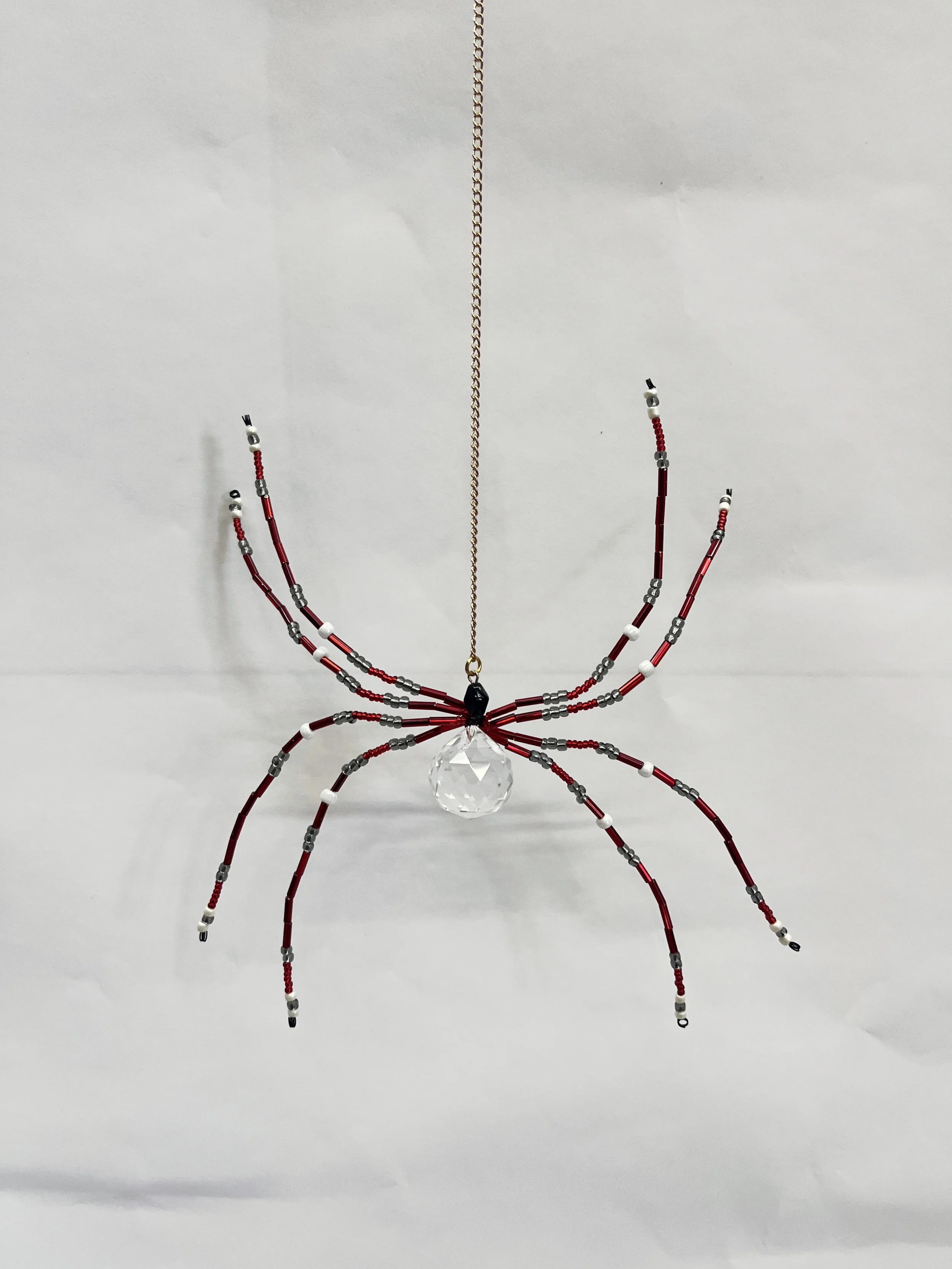 redblackspider.jpg