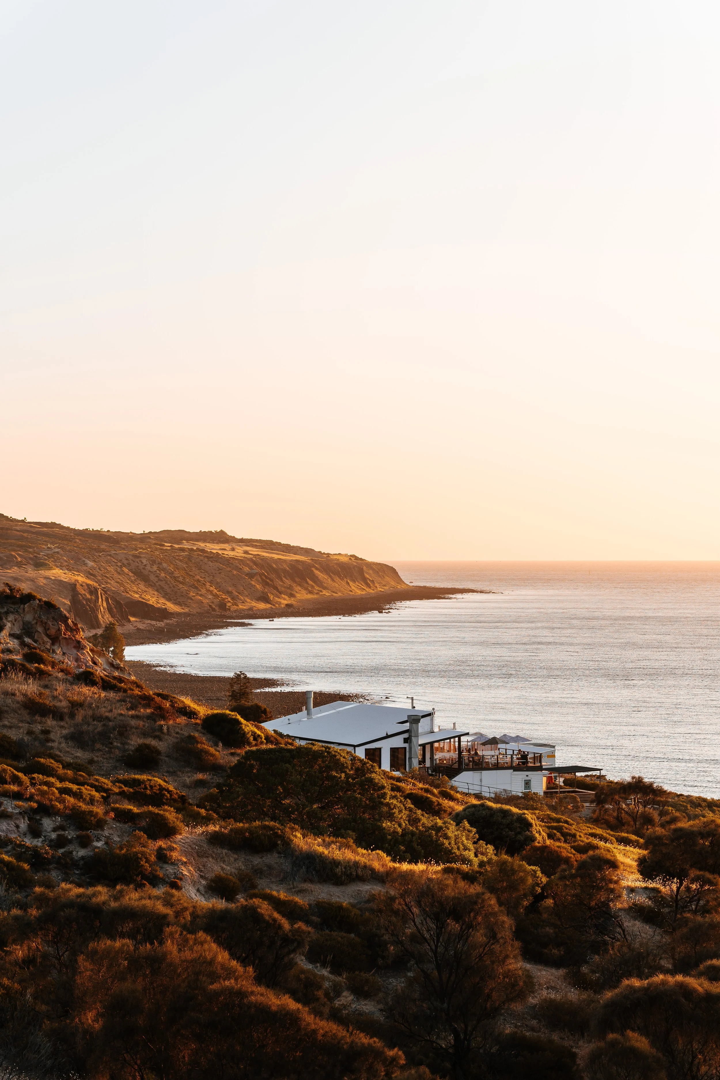 Cove Sunset WEB.jpg