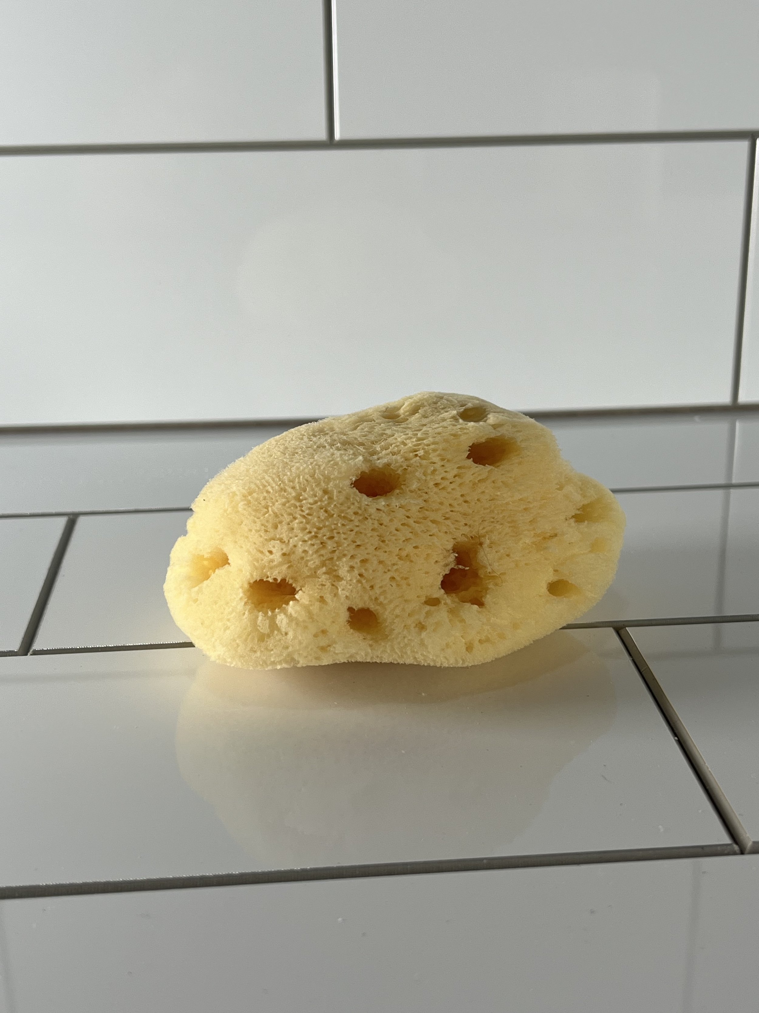 Loofah Lounge | Natural Sea Sponge