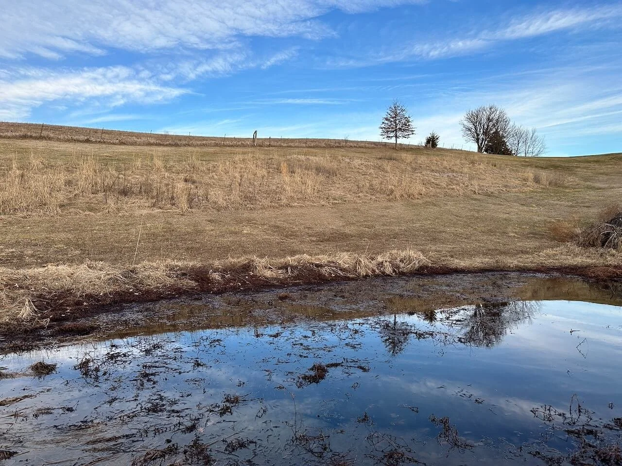 winter sky pond reflection copy.jpeg