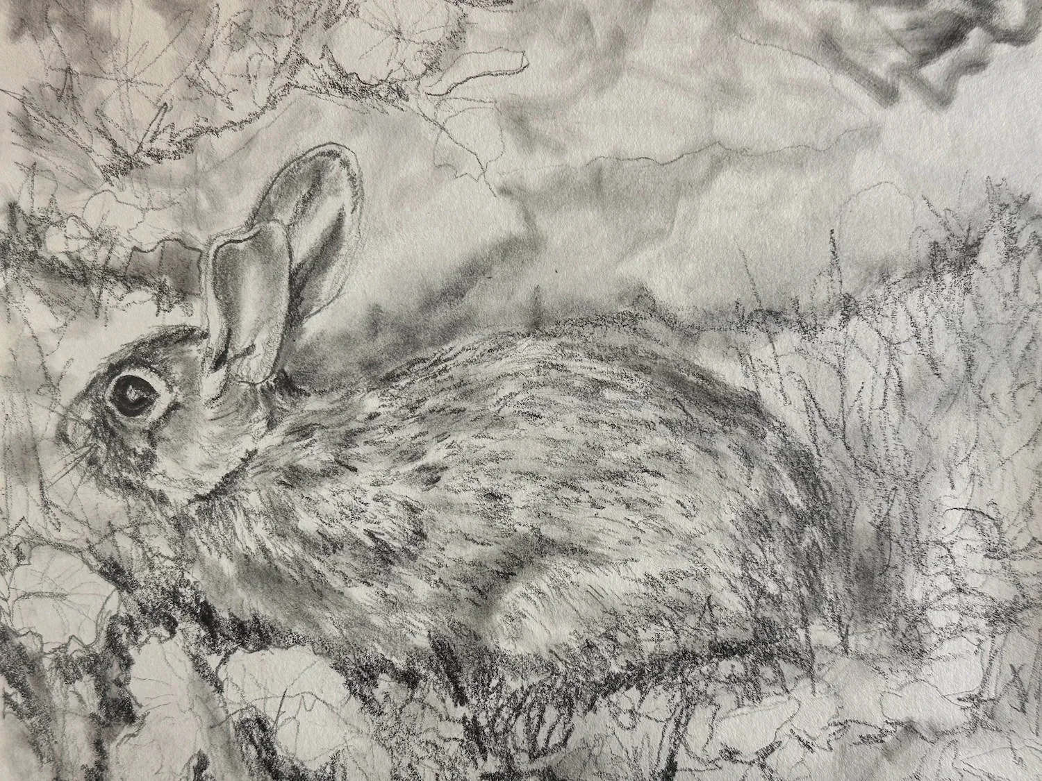 The Practice of Gazing