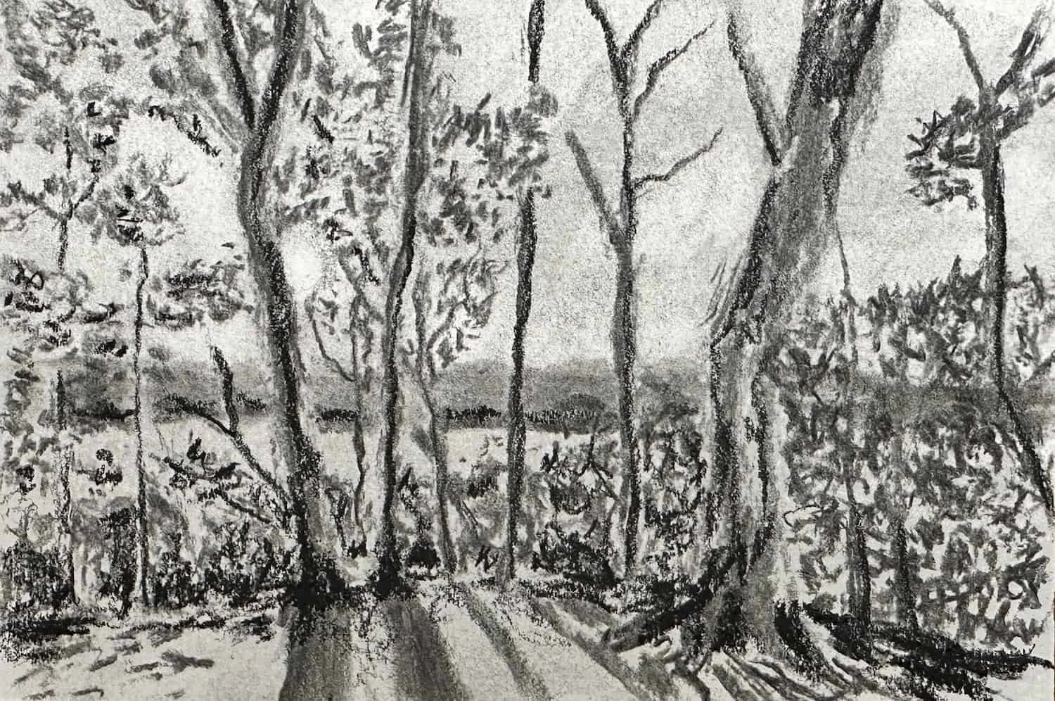 The Gallery of Creation