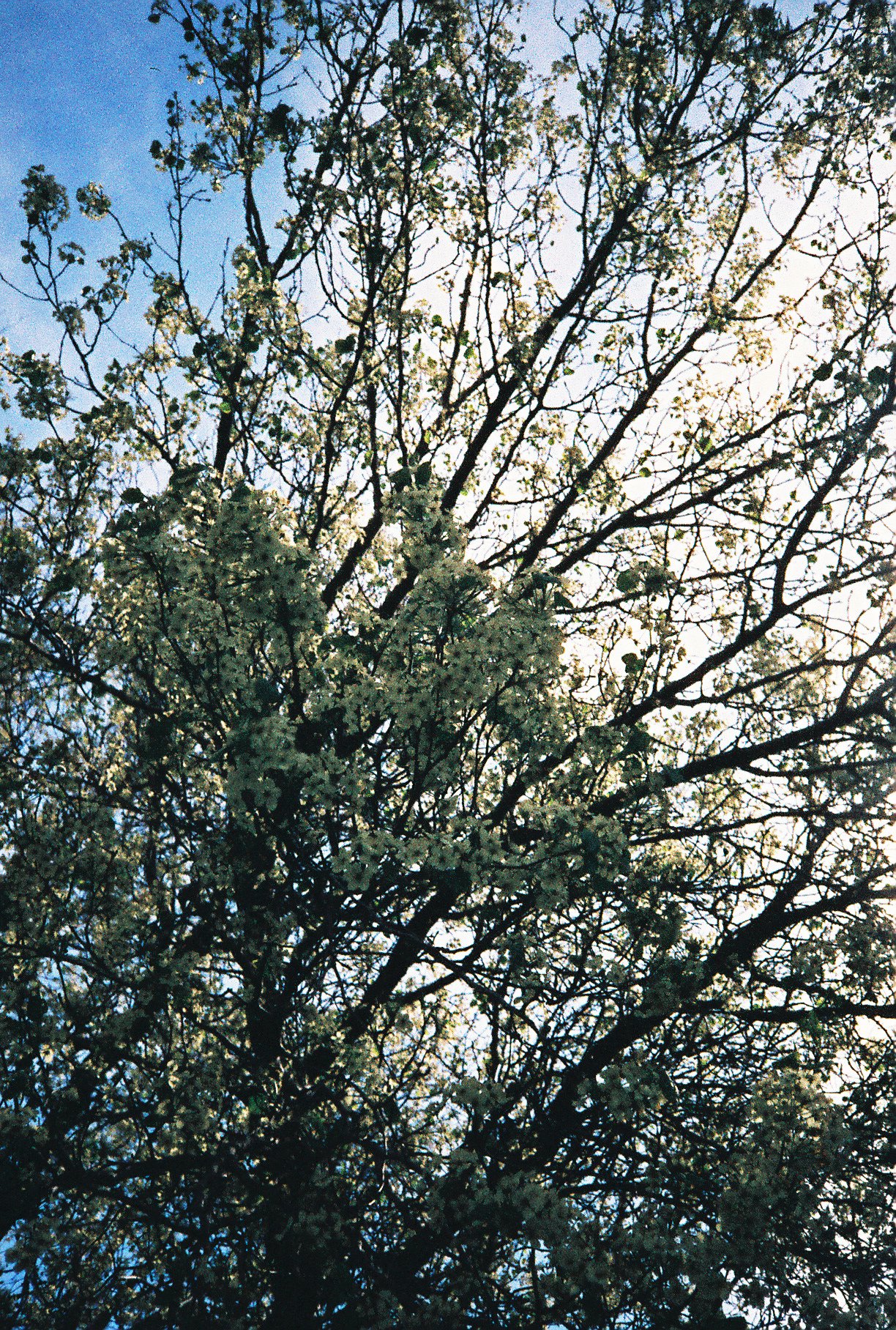 1012328565713-R4-032-14A.jpg