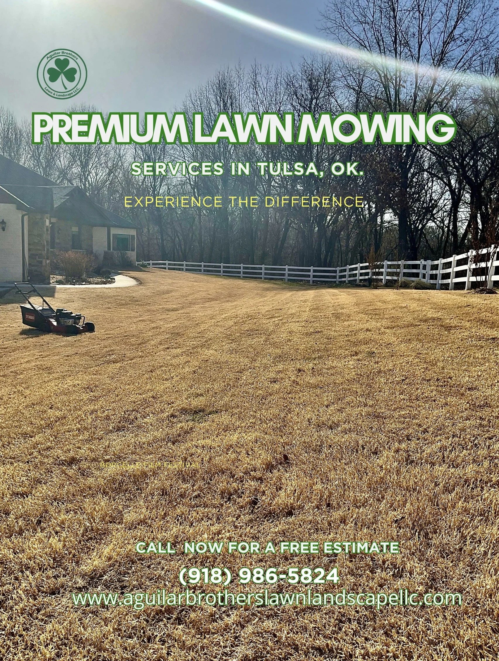 Yellow Blue Bold Minimalist Documentary Movie Poster.jpg