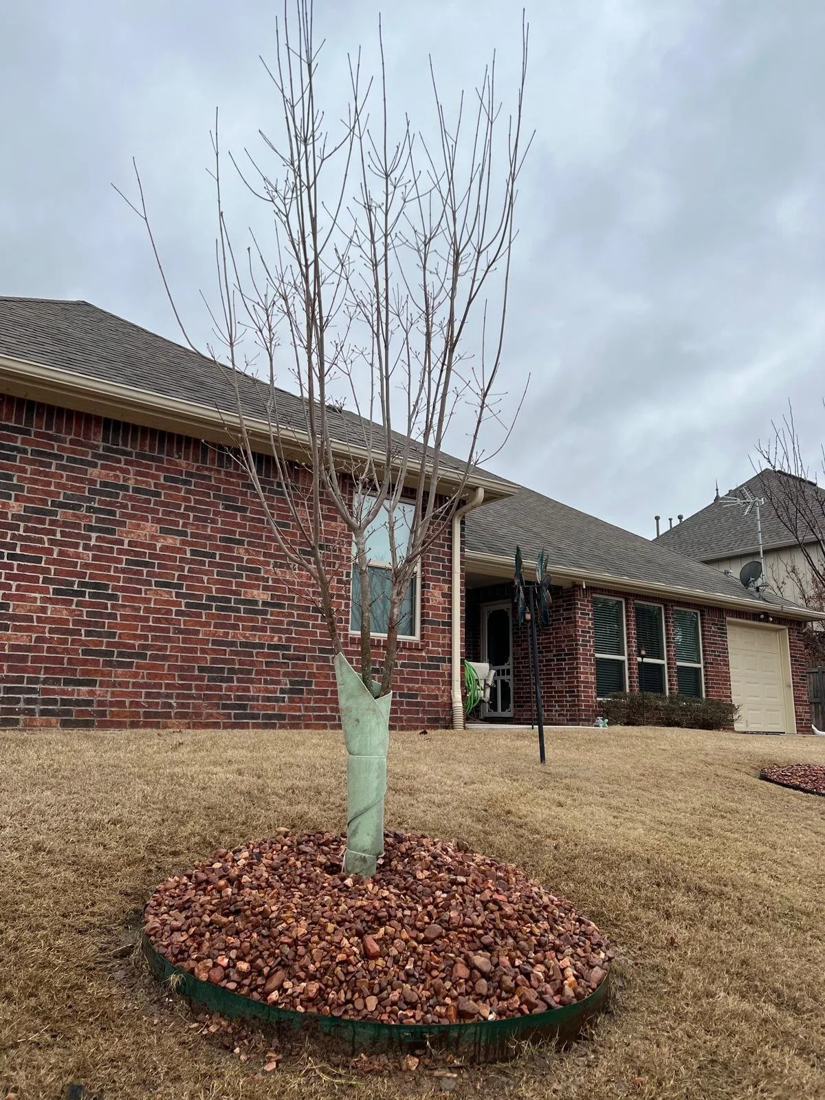 WhatsApp Image 2026-03-06 at 09.15.51 (5).jpeg