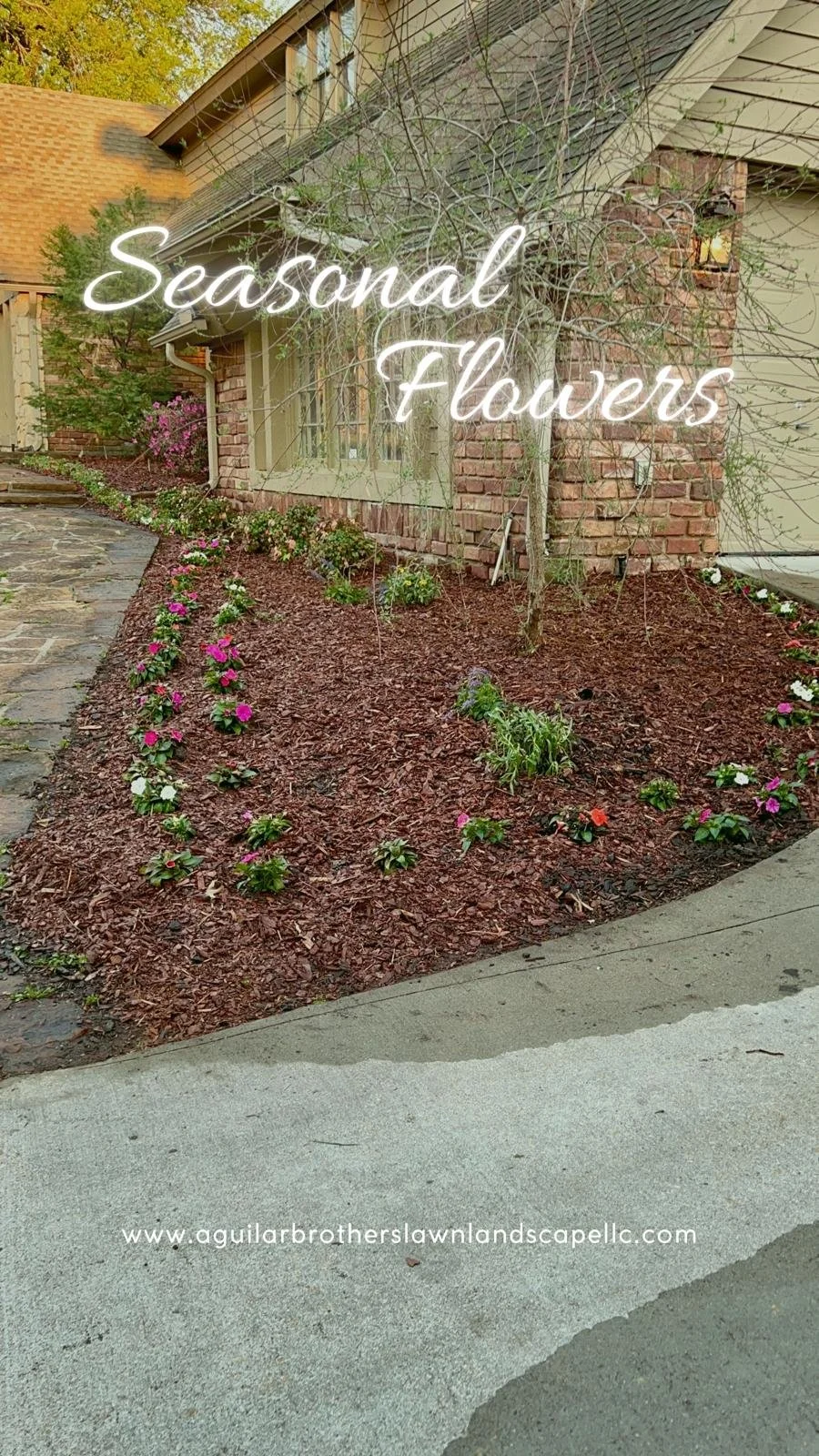 WhatsApp Image 2026-04-09 at 13.54.19.jpeg