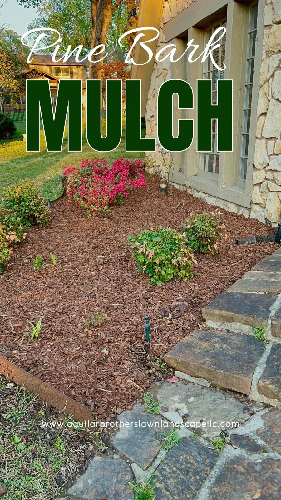 WhatsApp Image 2026-04-09 at 13.54.19 (4).jpeg