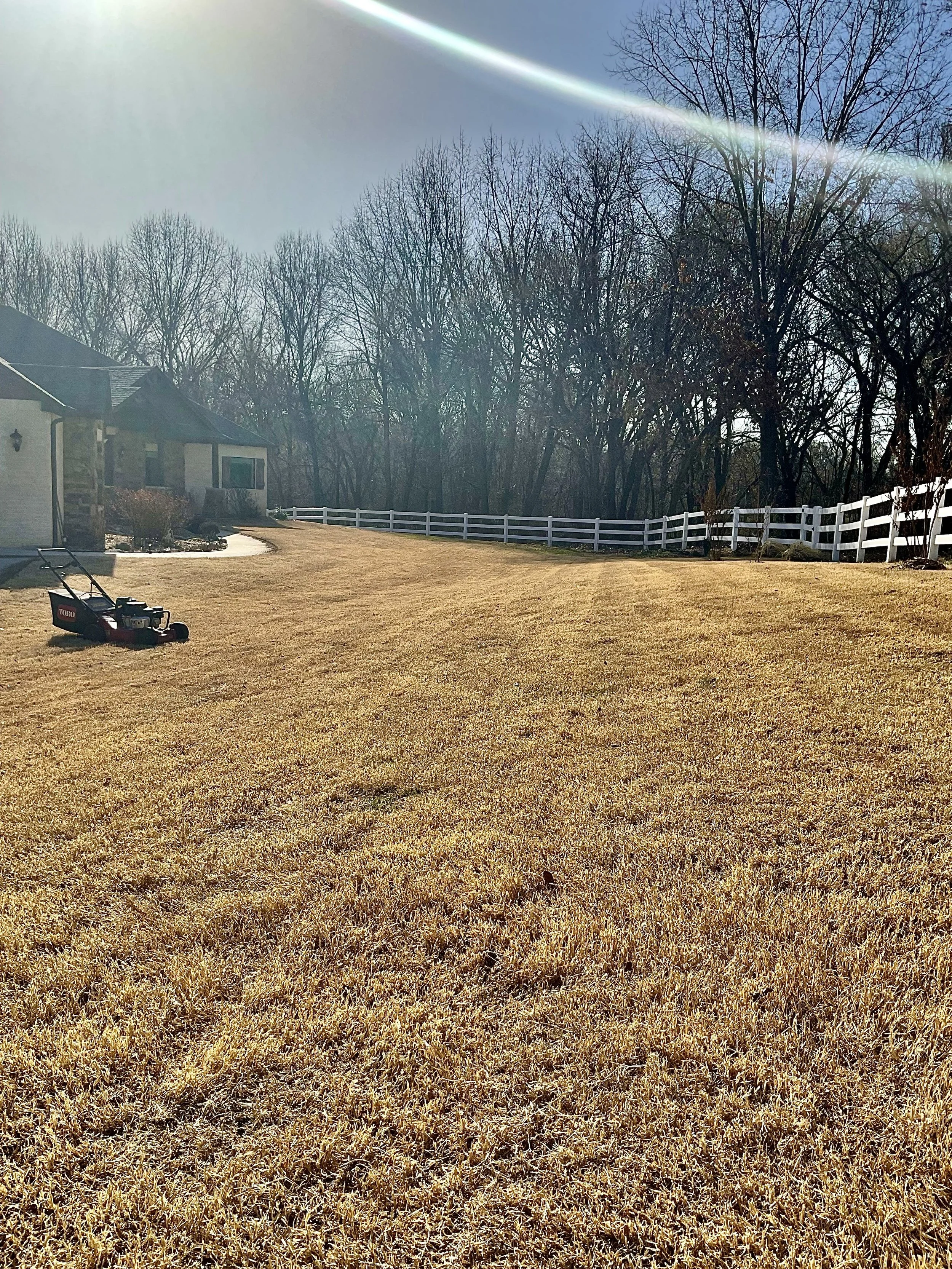 IMG_0901_Original 2.jpg