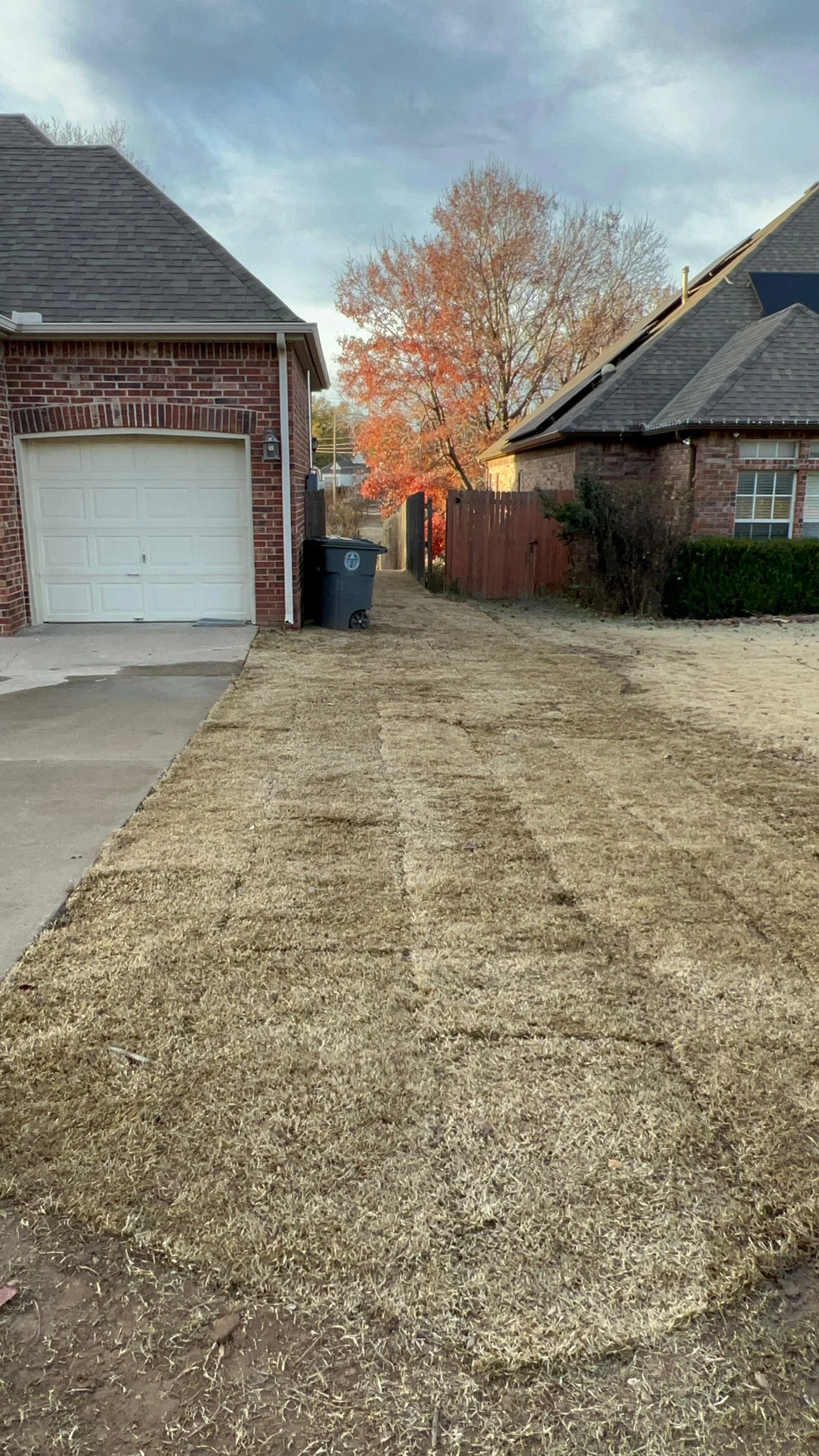 WhatsApp Image 2025-12-11 at 17.02.25 (1).jpeg