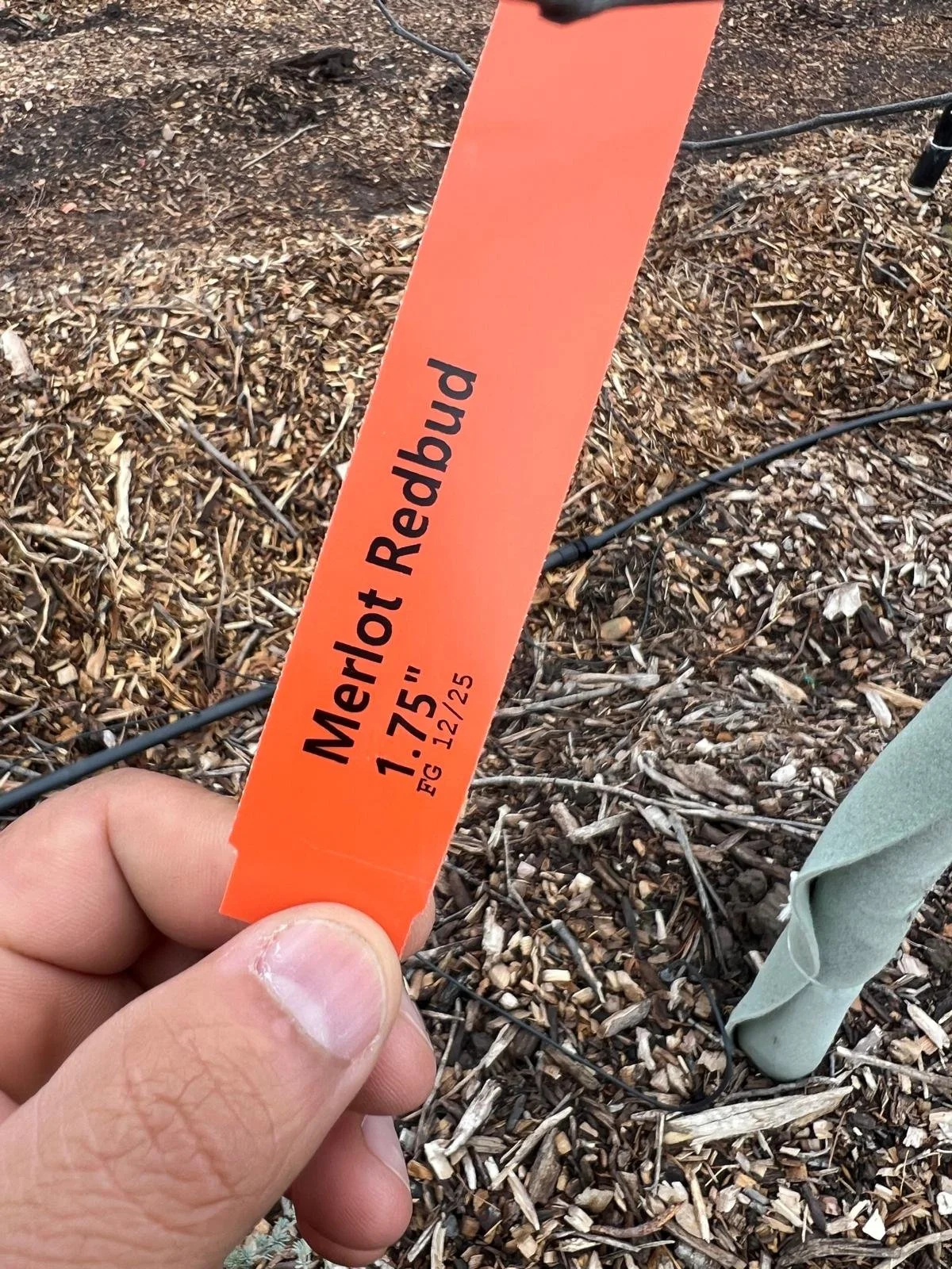 WhatsApp Image 2026-03-06 at 09.15.50 (2).jpeg