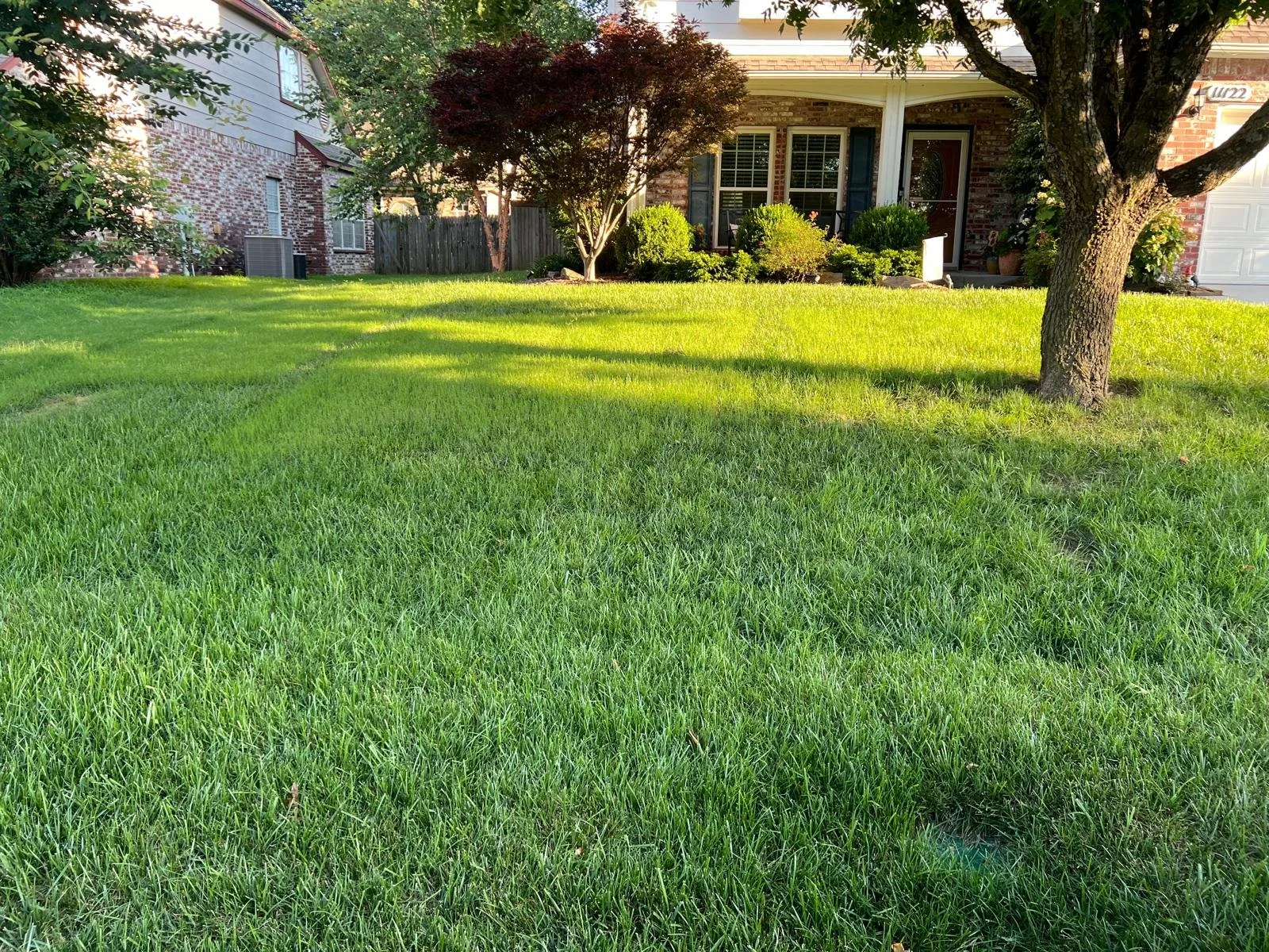 Weekly Lawn Mowing