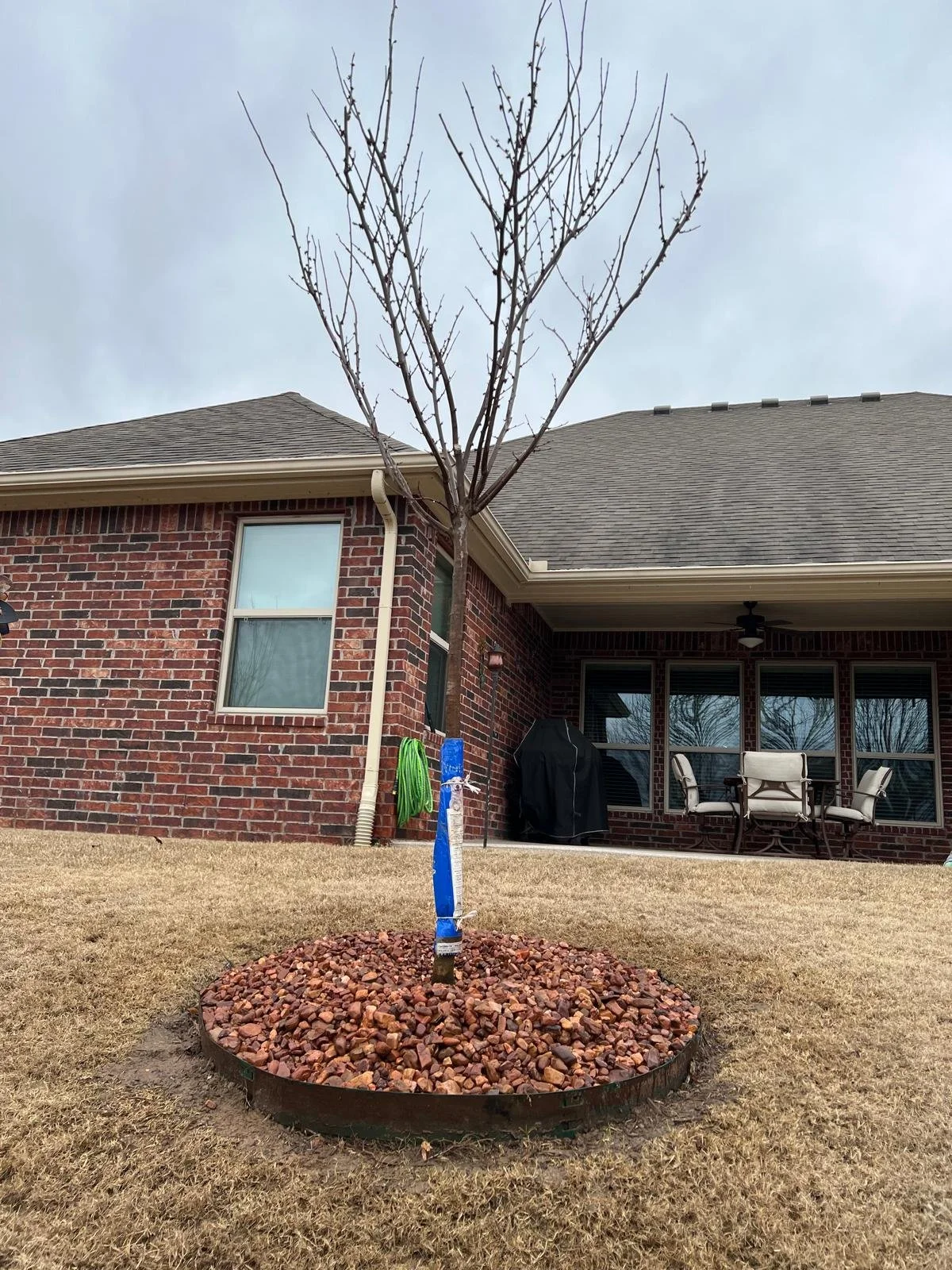 WhatsApp Image 2026-03-06 at 09.15.51 (6).jpeg