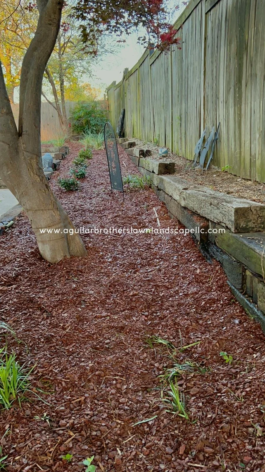 WhatsApp Image 2026-04-09 at 13.54.19 (1).jpeg