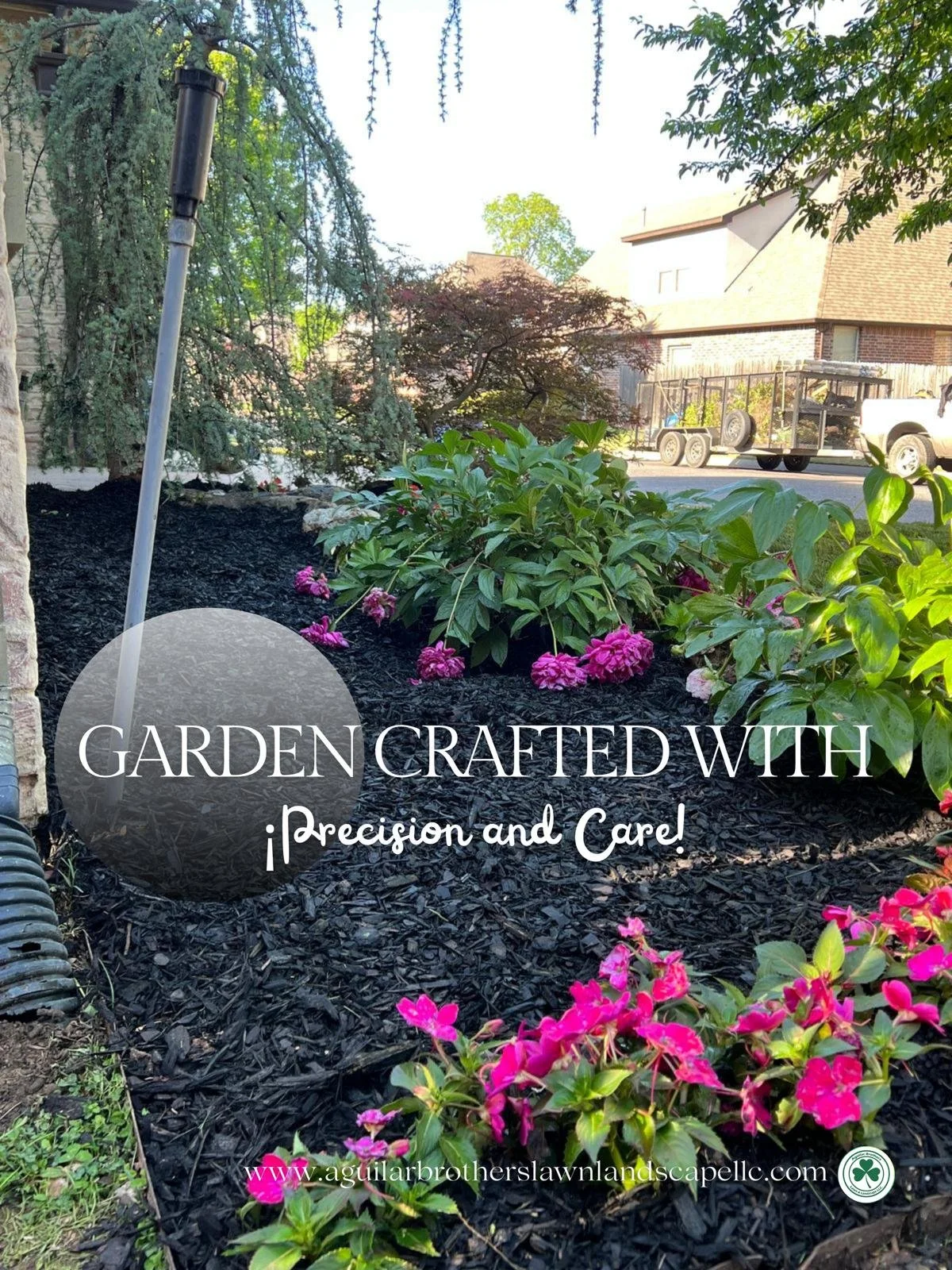 WhatsApp Image 2026-04-23 at 15.20.48 (8).jpeg