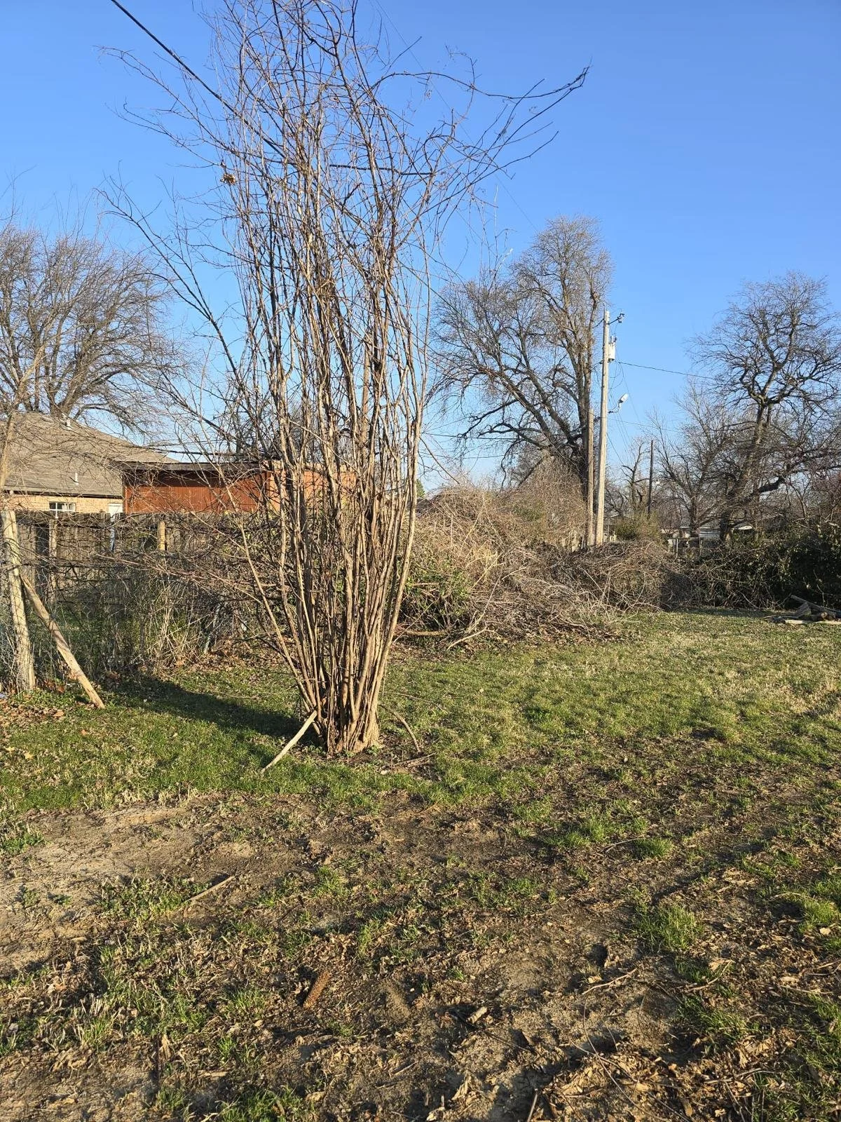 WhatsApp Image 2026-03-12 at 09.38.04 (10).jpeg